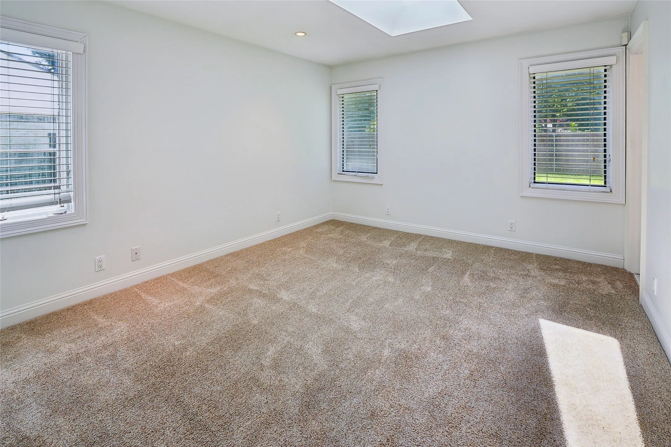 Carpeted room featuring white walls, baseboards, window trim, and a skylight