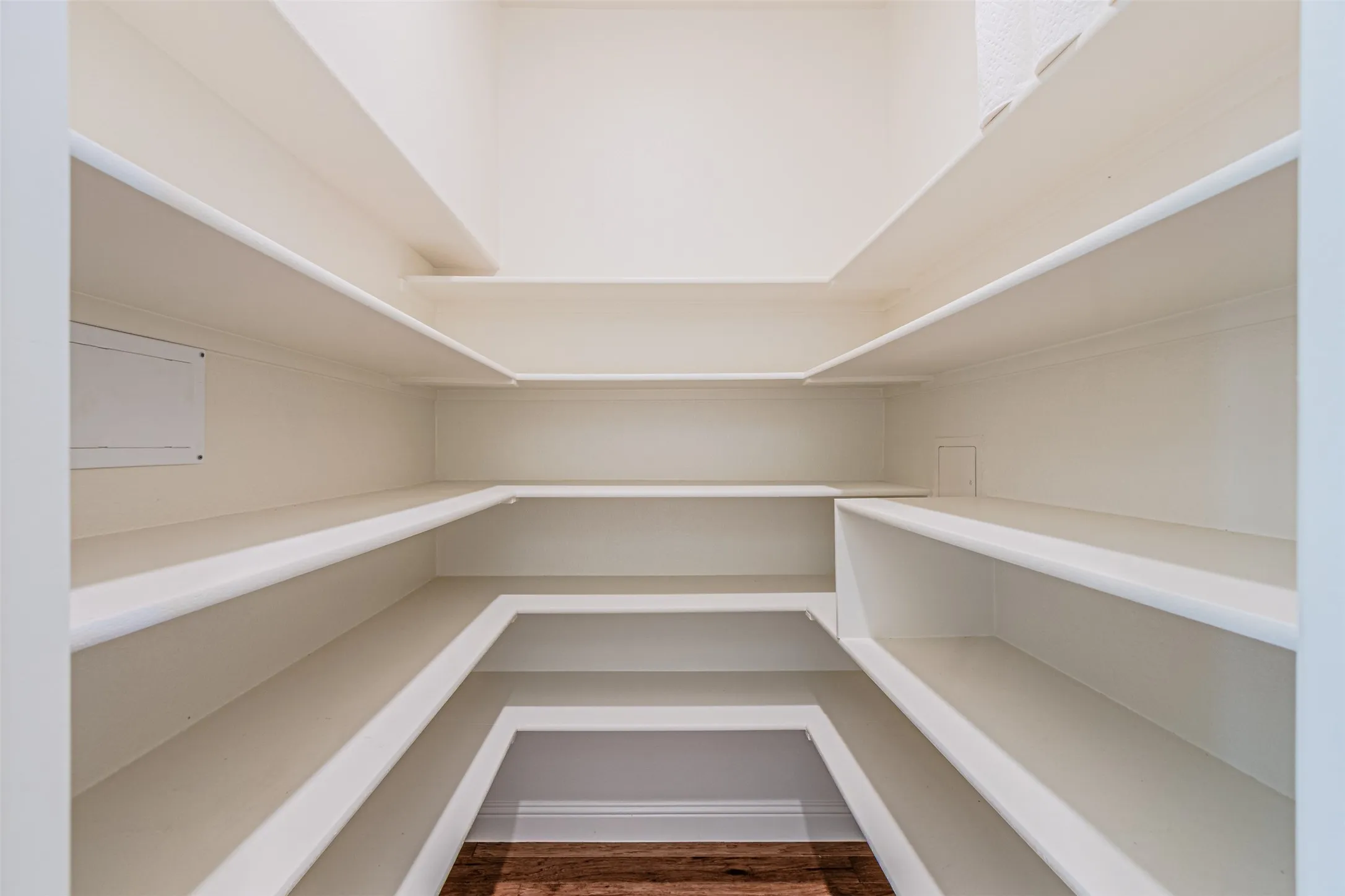 Deep Walk In Pantry