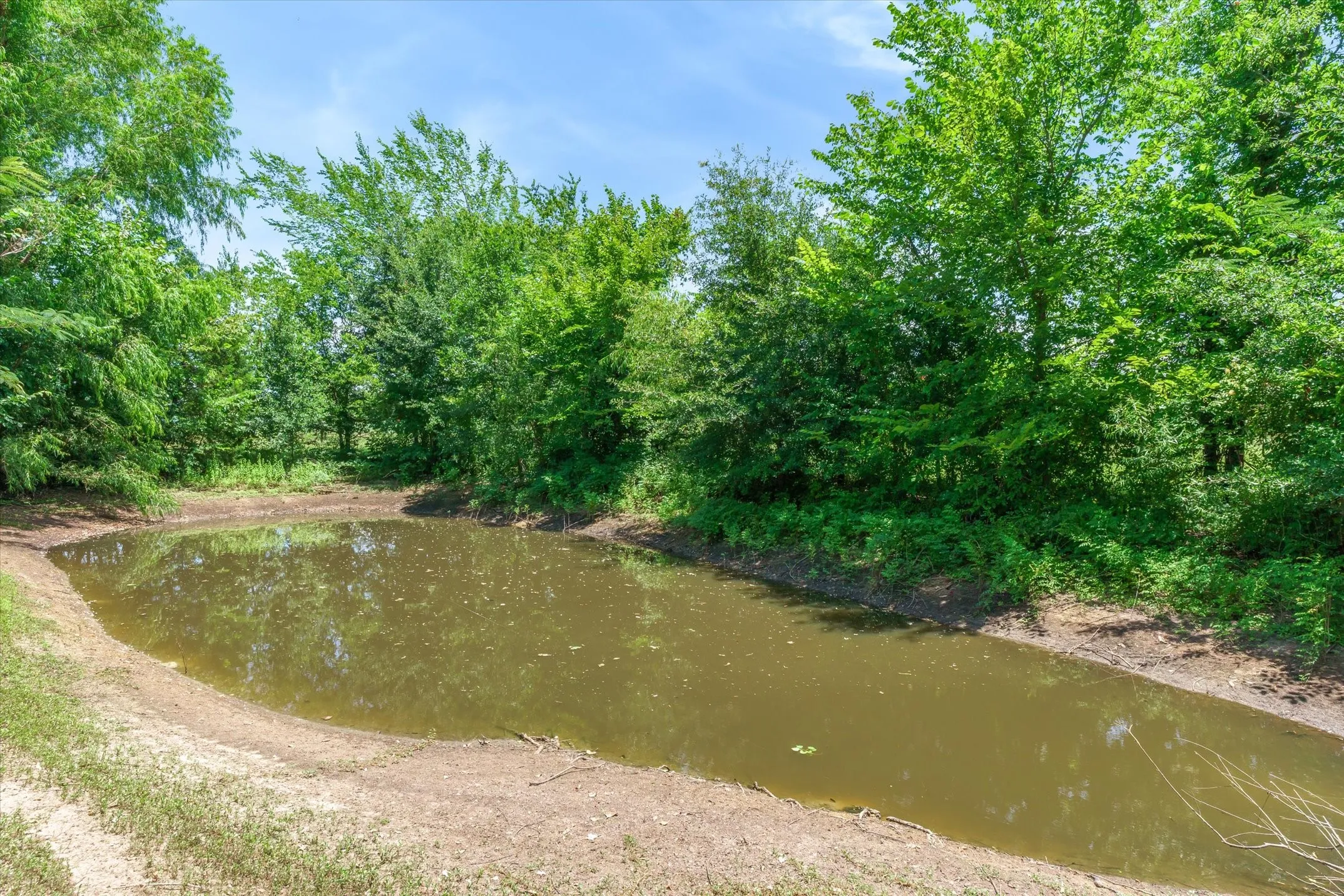 Single Family Residence For Sale in Van Zandt County , 1100 Vz County Road 3414, Wills Point, Texas 75169, 3 Bedroom, 3 Bathroom, 2 Garage spaces, 1,768 Sqft, built in 1997, mls#21320818, Real Estate Agent in Wills Point, Homes For Sale in Van Zandt county, Homes For Sale in Wills Point, Realtor in Wills Point Texas, Real Estate Brokerage Independent Realty Texas, Luminita Cordes Realtor