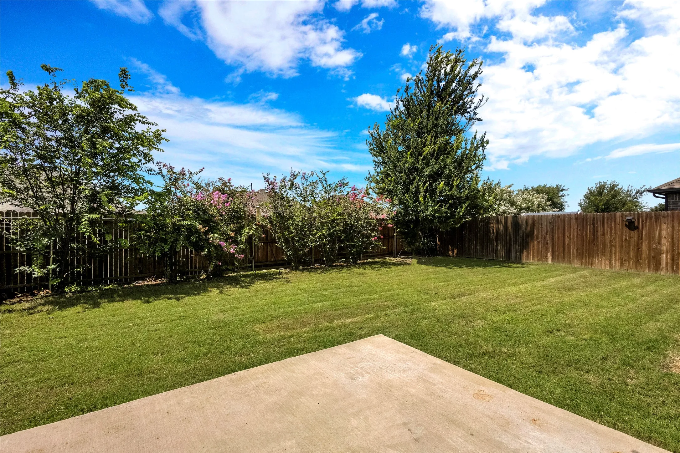 Expansive backyard featuring a large concrete patio, manicured lawn, and mature privacy landscaping