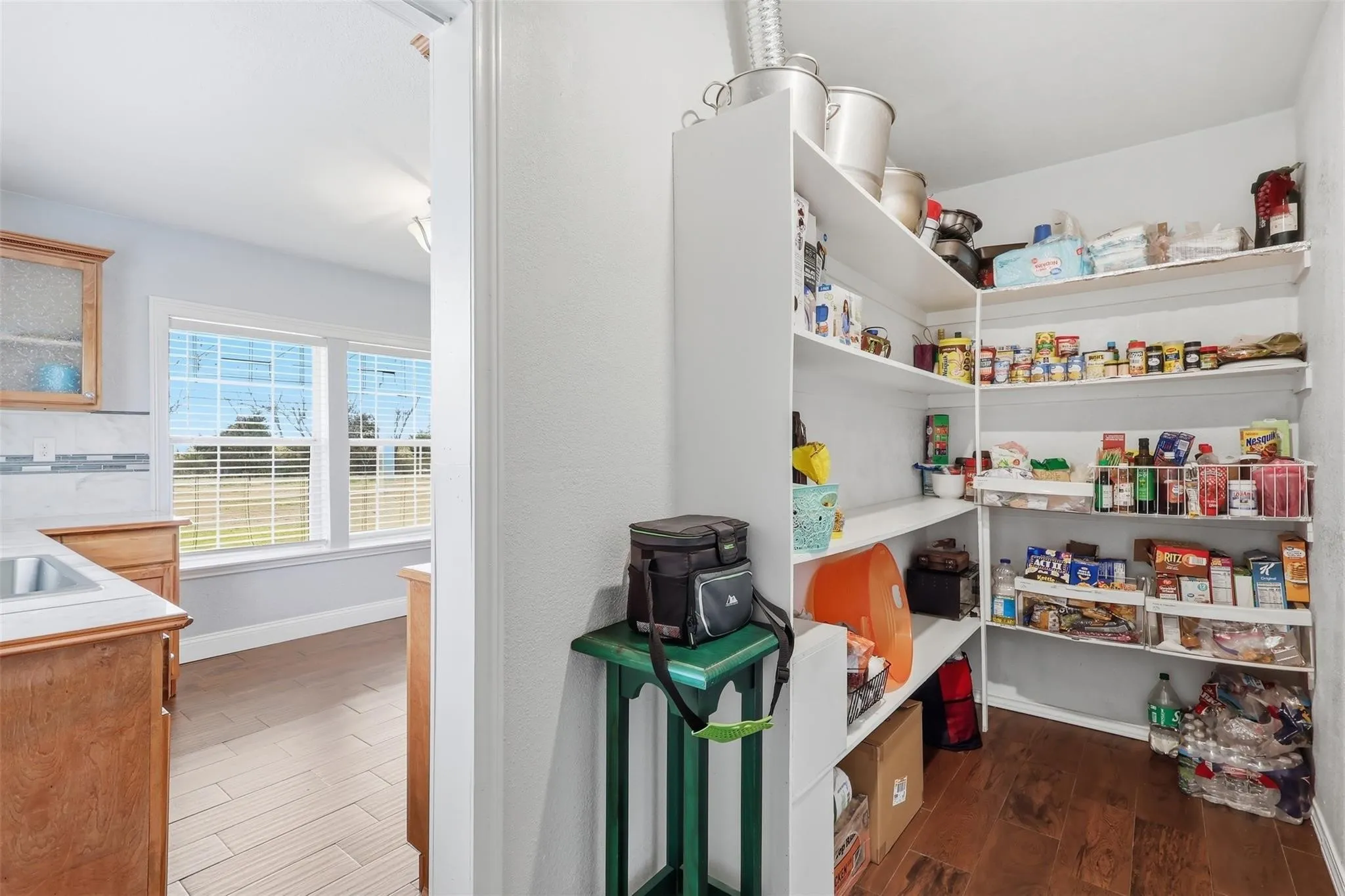 Spacious pantry featuring extensive shelving, wood-finish flooring, and white walls