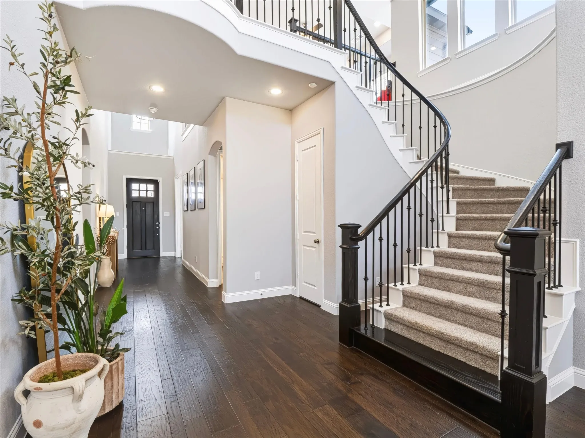 Grand entry featuring a dark wood-finish front door, dark wood-finish flooring, a curved staircase with carpeted treads, and wrought iron balusters