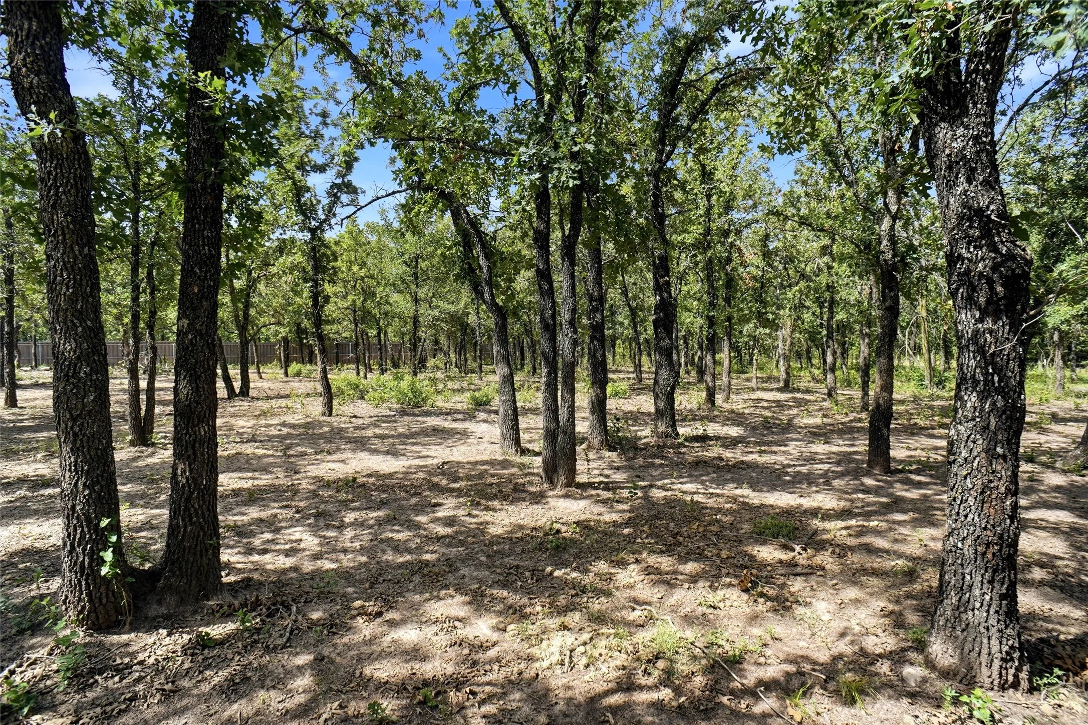 Single Family Residence For Sale in Wise County , 211 Spring Valley Road, Paradise, Texas 76073, 2 Bedroom, 2 Bathroom, Garage spaces, 1,642 Sqft, built in 2010, mls#21317603, Real Estate Agent in Paradise, Homes For Sale in Wise county, Homes For Sale in Paradise, Realtor in Paradise Texas, Real Estate Brokerage Independent Realty Texas, Luminita Cordes Realtor