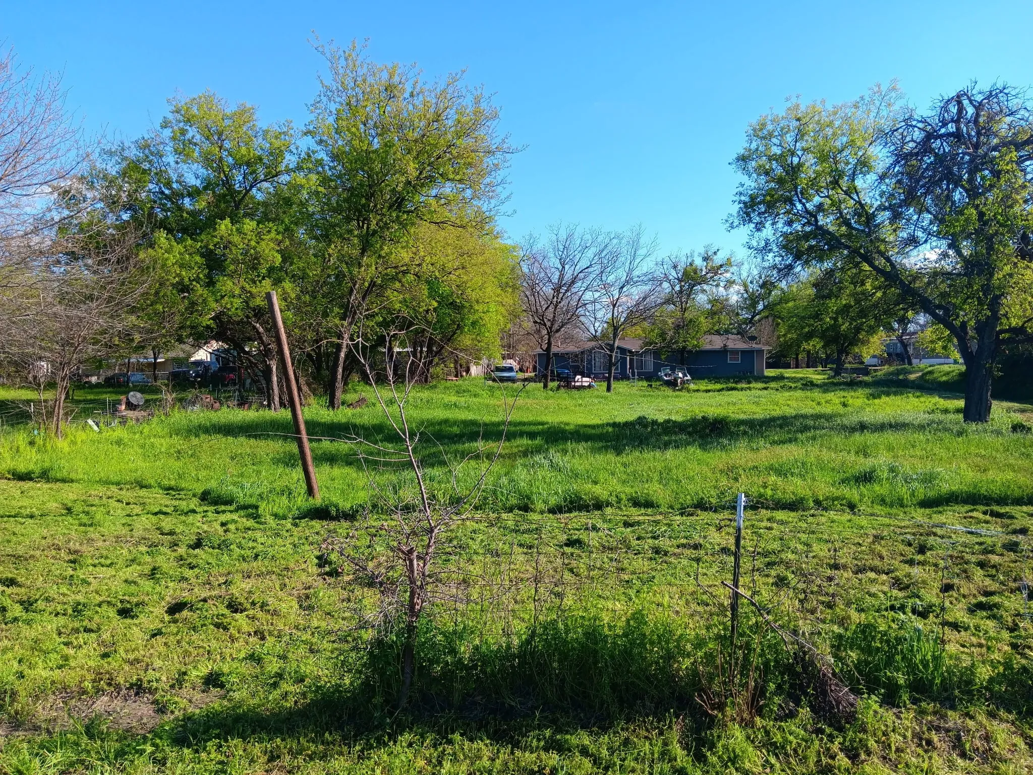 Expansive green lot featuring mature trees and a clear sky backdrop