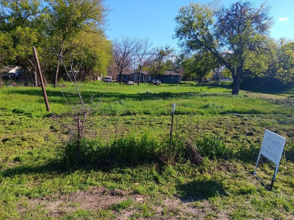 Expansive green lot featuring mature trees and a clear blue sky background