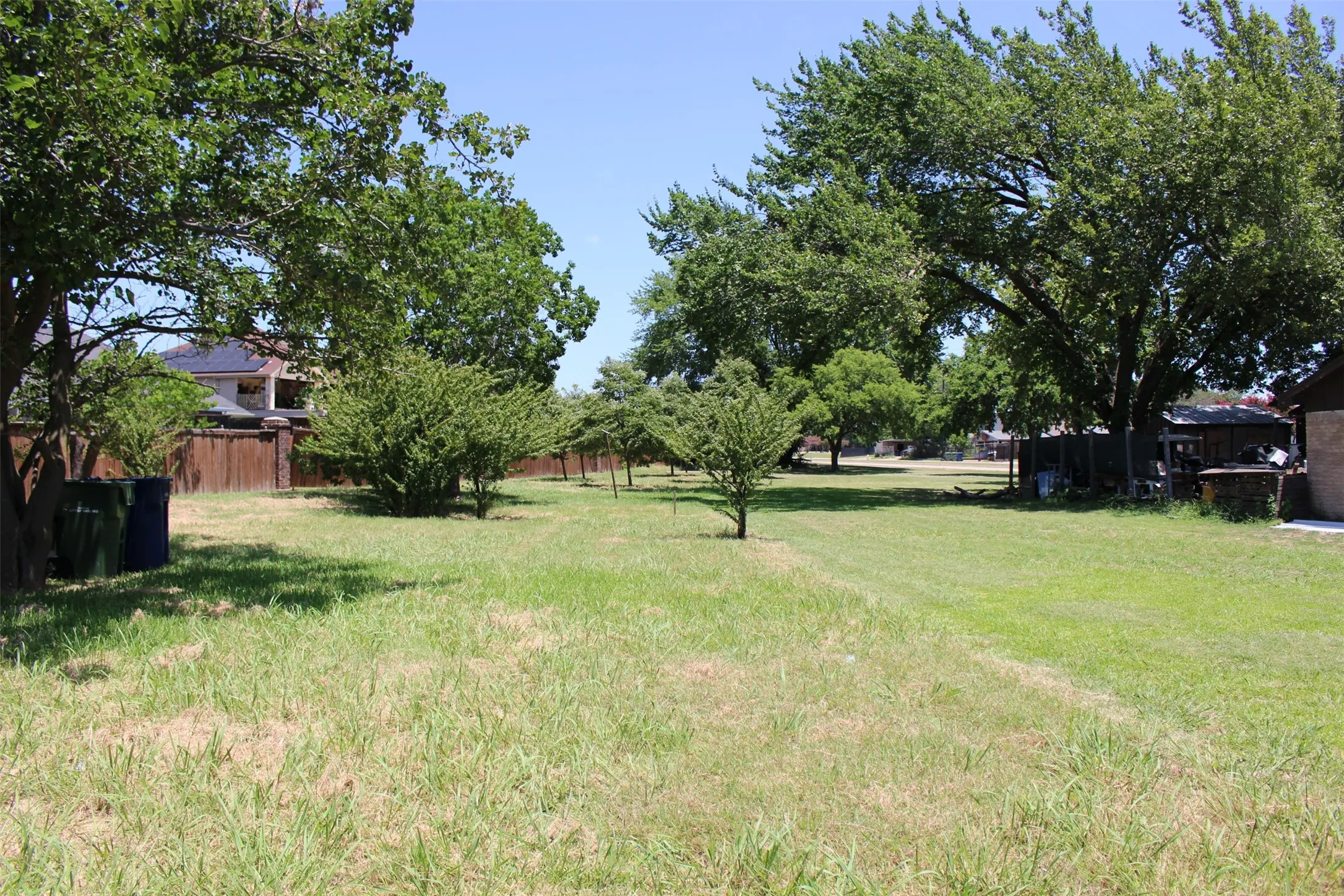Expansive grassy area featuring mature trees and additional smaller trees