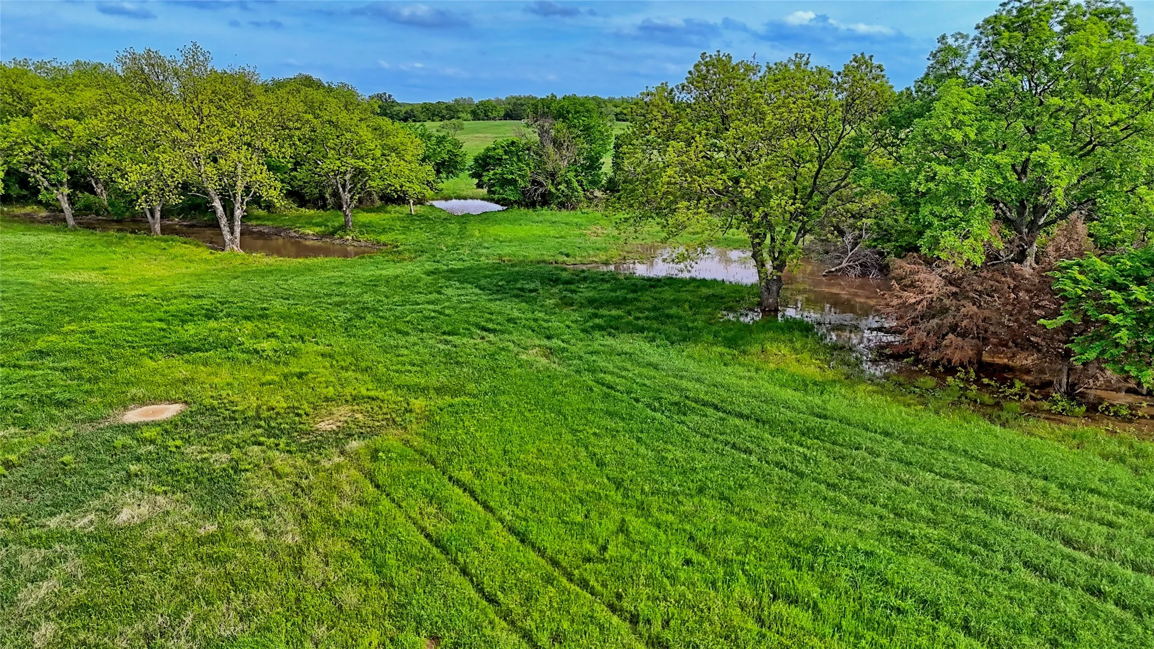 Unimproved Land For Sale in Montague County , 000 Longbranch, Nocona, Texas 76255, 0, 0, Garage spaces, 0 Sqft, built in 0, Price $425,000, mls#21316347, Real Estate Agent in Nocona, Homes For Sale in Montague county, Homes For Sale in Nocona, Realtor in Nocona Texas, Real Estate Brokerage Independent Realty Texas, Luminita Cordes Realtor