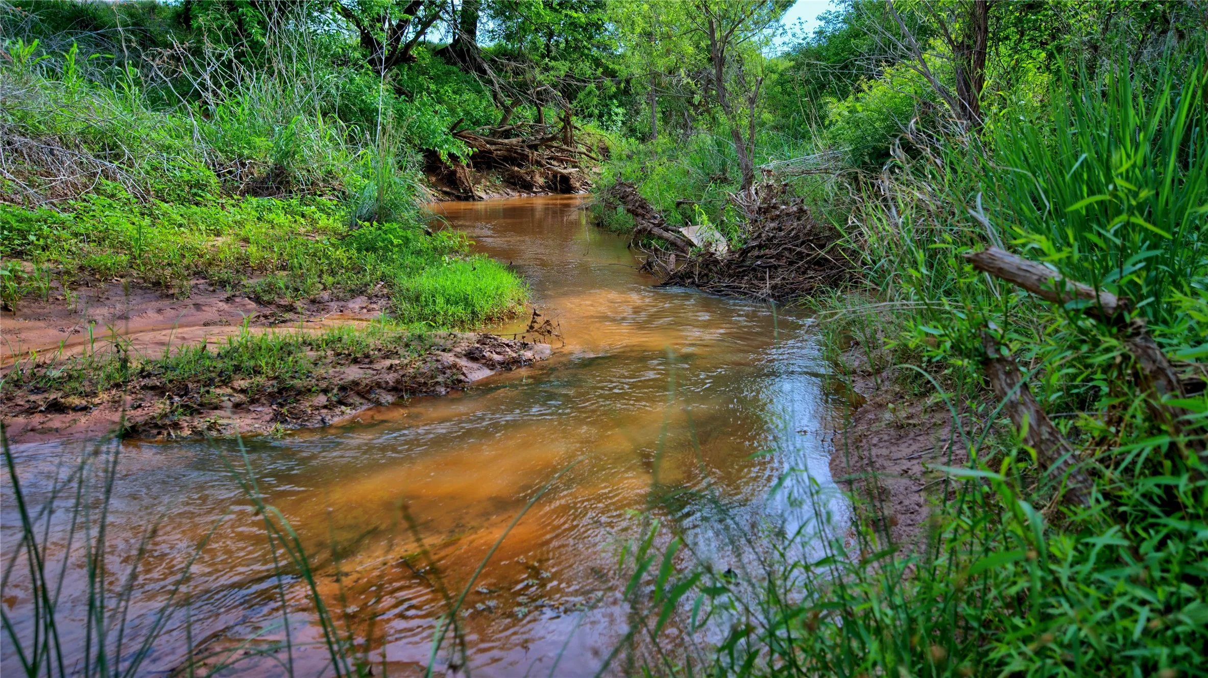 Unimproved Land For Sale in Montague County , 000 Longbranch, Nocona, Texas 76255, 0, 0, Garage spaces, 0 Sqft, built in 0, Price $425,000, mls#21316347, Real Estate Agent in Nocona, Homes For Sale in Montague county, Homes For Sale in Nocona, Realtor in Nocona Texas, Real Estate Brokerage Independent Realty Texas, Luminita Cordes Realtor