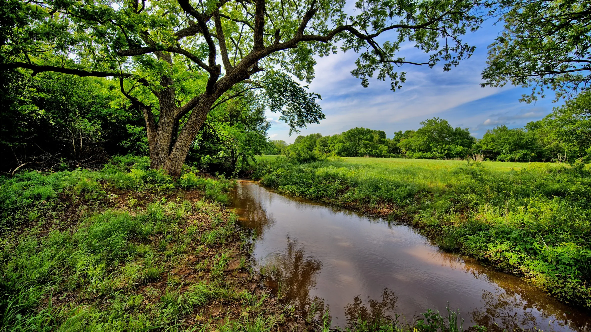 Unimproved Land For Sale in Montague County , 000 Longbranch, Nocona, Texas 76255, 0, 0, Garage spaces, 0 Sqft, built in 0, Price $425,000, mls#21316347, Real Estate Agent in Nocona, Homes For Sale in Montague county, Homes For Sale in Nocona, Realtor in Nocona Texas, Real Estate Brokerage Independent Realty Texas, Luminita Cordes Realtor