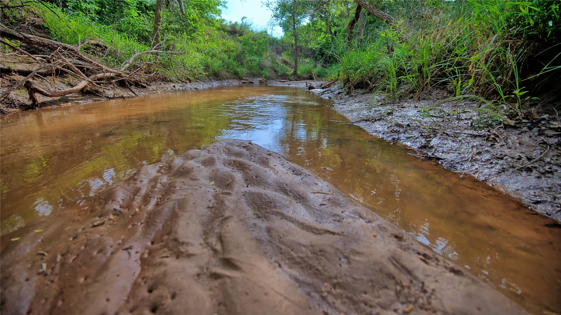 Unimproved Land For Sale in Montague County , 000 Longbranch, Nocona, Texas 76255, 0, 0, Garage spaces, 0 Sqft, built in 0, Price $425,000, mls#21316347, Real Estate Agent in Nocona, Homes For Sale in Montague county, Homes For Sale in Nocona, Realtor in Nocona Texas, Real Estate Brokerage Independent Realty Texas, Luminita Cordes Realtor