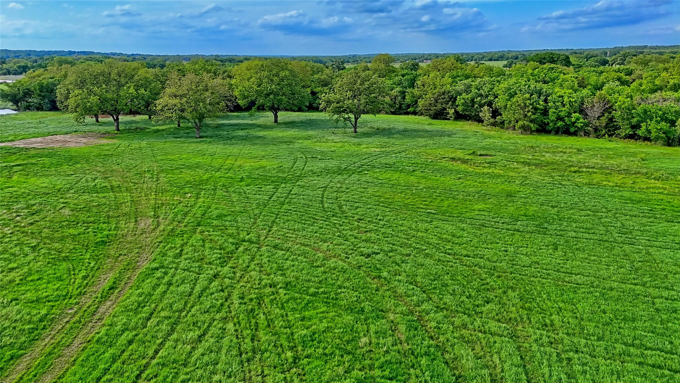 Unimproved Land For Sale in Montague County , 000 Longbranch, Nocona, Texas 76255, 0, 0, Garage spaces, 0 Sqft, built in 0, Price $425,000, mls#21316347, Real Estate Agent in Nocona, Homes For Sale in Montague county, Homes For Sale in Nocona, Realtor in Nocona Texas, Real Estate Brokerage Independent Realty Texas, Luminita Cordes Realtor