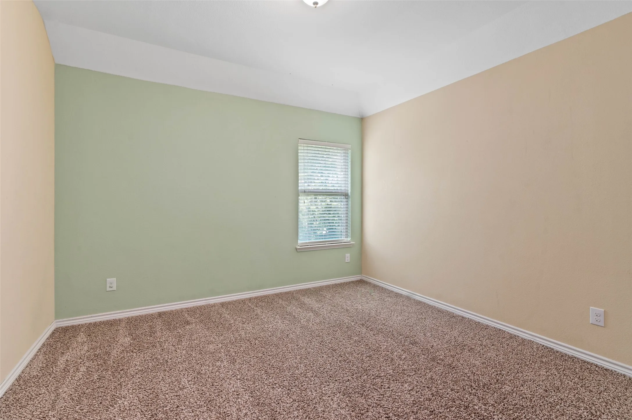 Room featuring plush carpet flooring, a single window with blinds, and walls painted in a two-tone color scheme of sage green and beige