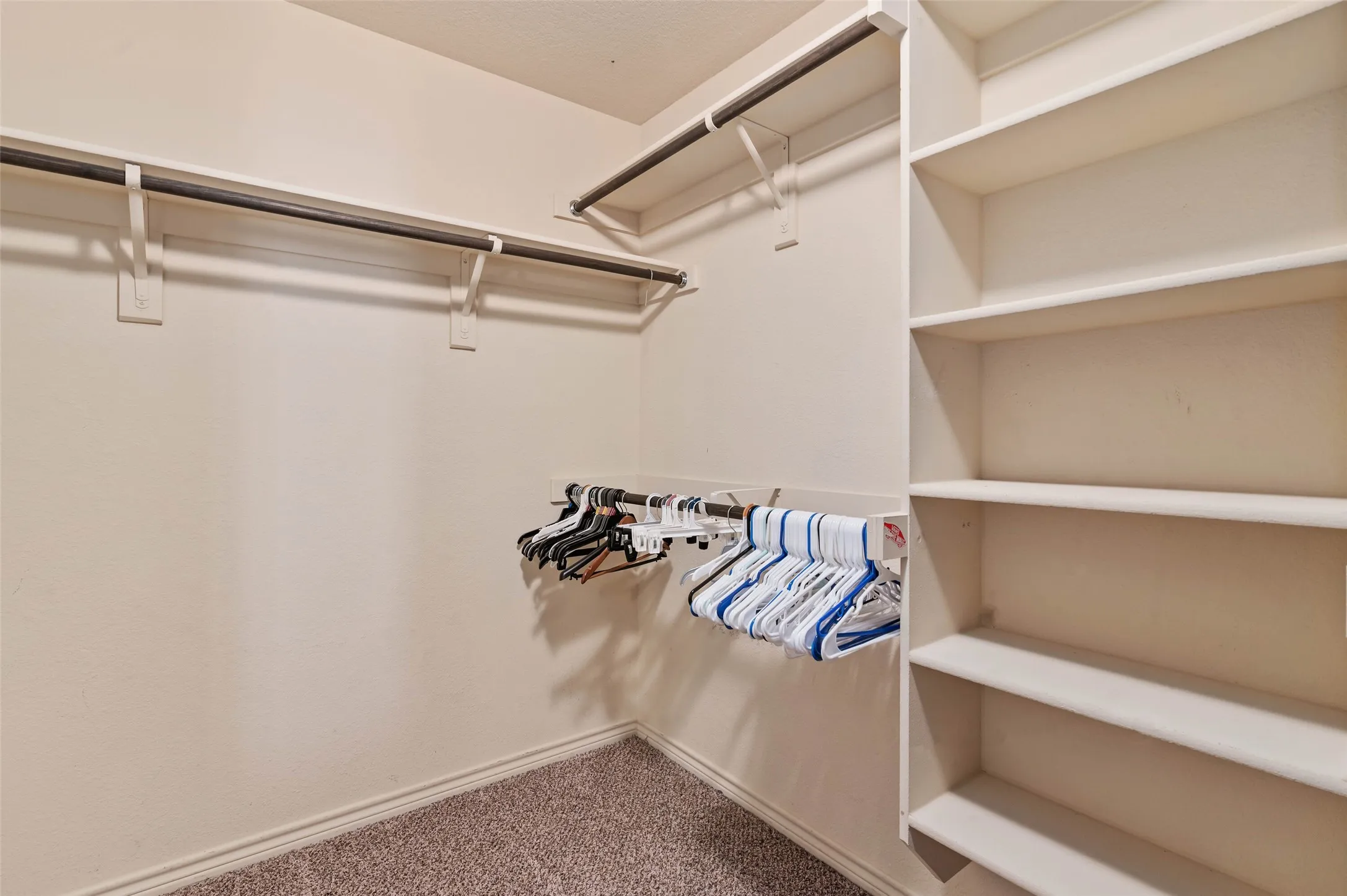 Walk-in closet featuring built-in shelving, two hanging rods, and carpet flooring