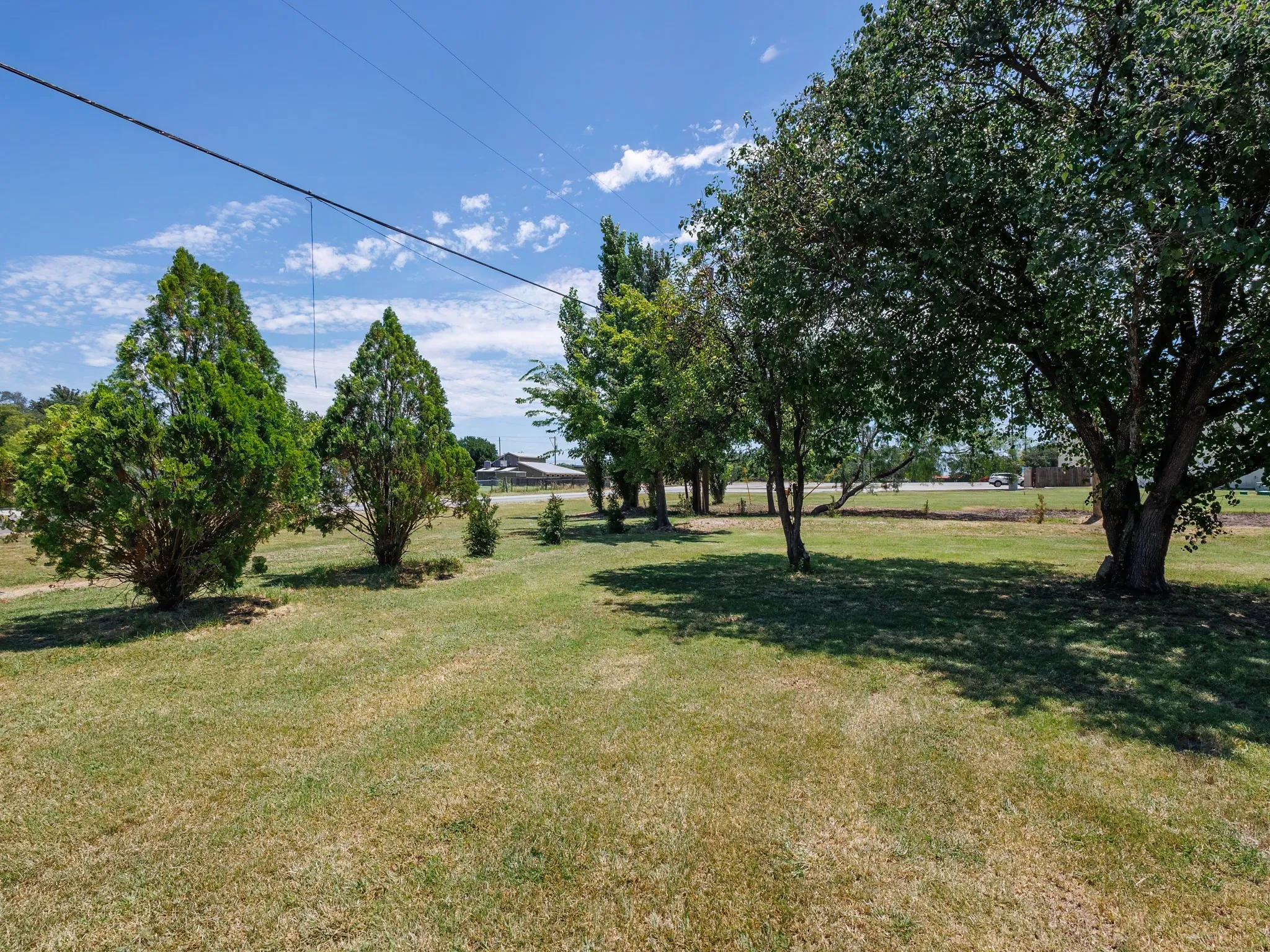 Expansive grassy area featuring mature trees and established evergreen shrubs