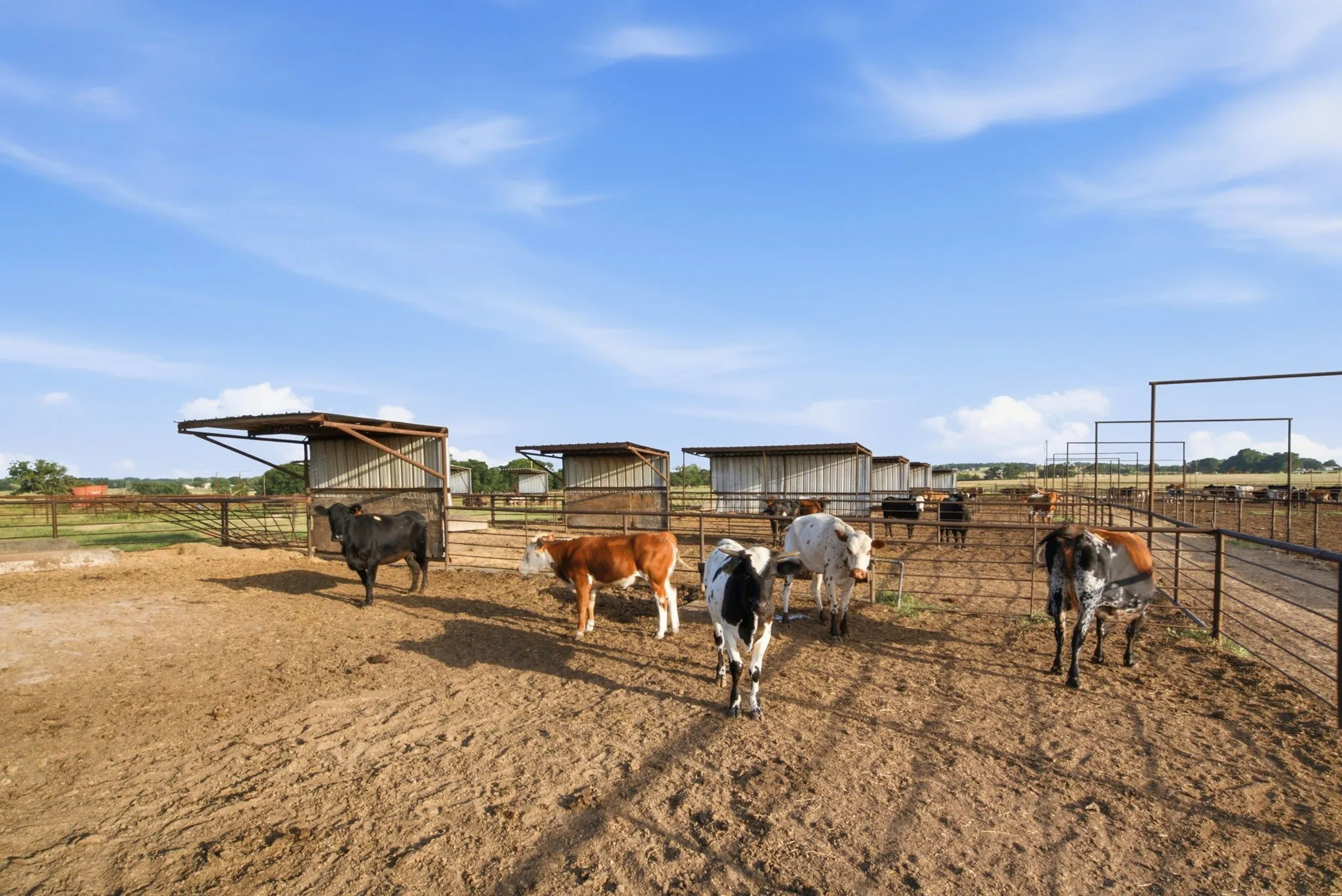 Ranch For Sale in Erath County , 2580 FM 847, Stephenville, Texas 76401, 0, 0, Garage spaces, 0 Sqft, built in 0, mls#21320944, Real Estate Agent in Stephenville, Homes For Sale in Erath county, Homes For Sale in Stephenville, Realtor in Stephenville Texas, Real Estate Brokerage Independent Realty Texas, Luminita Cordes Realtor