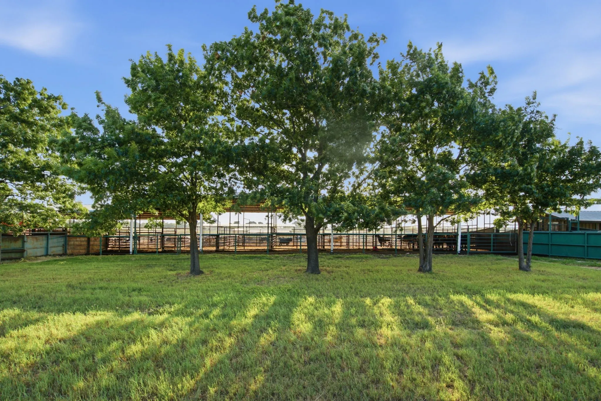 Ranch For Sale in Erath County , 2580 FM 847, Stephenville, Texas 76401, 0, 0, Garage spaces, 0 Sqft, built in 0, mls#21320944, Real Estate Agent in Stephenville, Homes For Sale in Erath county, Homes For Sale in Stephenville, Realtor in Stephenville Texas, Real Estate Brokerage Independent Realty Texas, Luminita Cordes Realtor