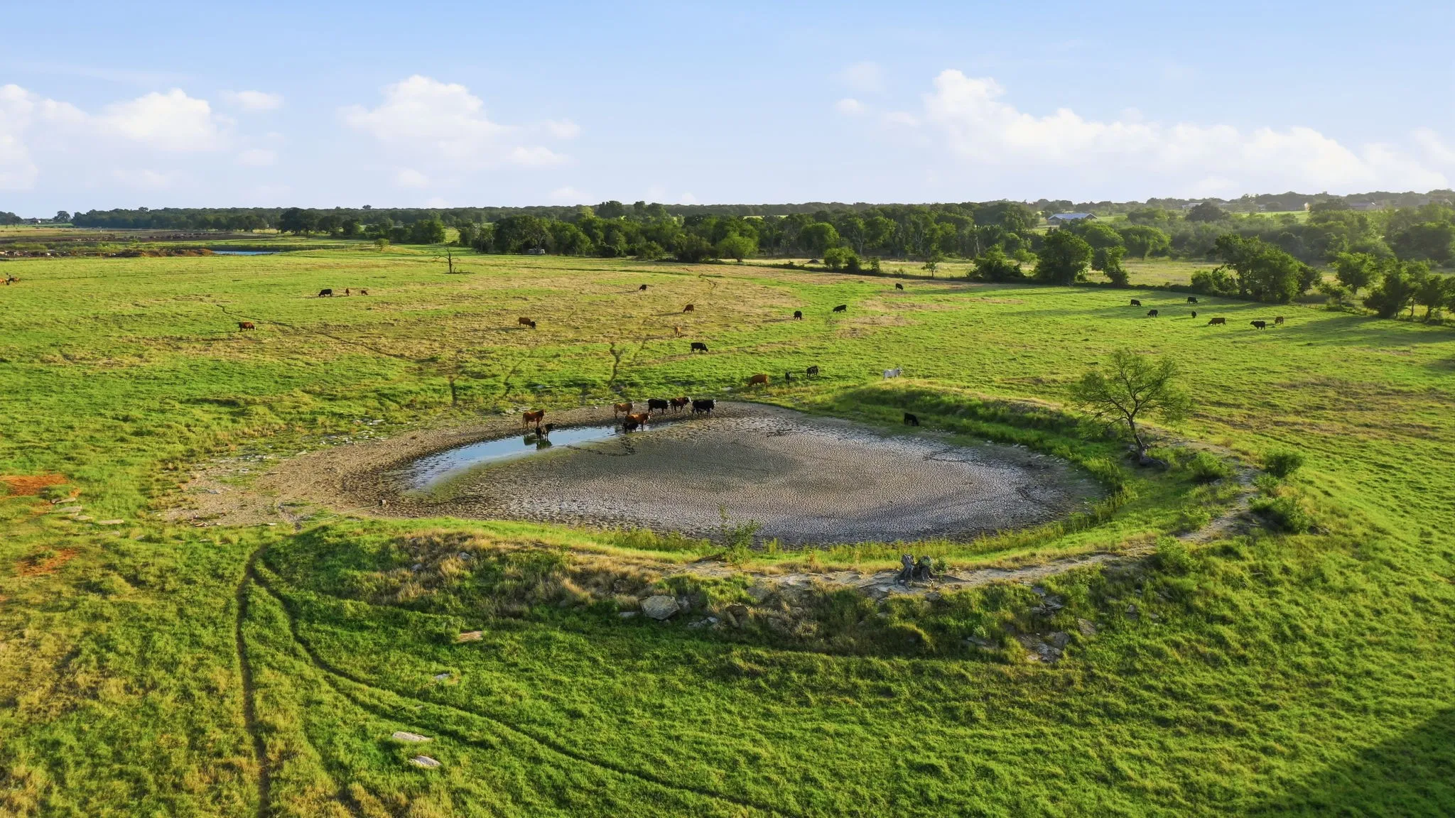 Ranch For Sale in Erath County , 2580 FM 847, Stephenville, Texas 76401, 0, 0, Garage spaces, 0 Sqft, built in 0, mls#21320944, Real Estate Agent in Stephenville, Homes For Sale in Erath county, Homes For Sale in Stephenville, Realtor in Stephenville Texas, Real Estate Brokerage Independent Realty Texas, Luminita Cordes Realtor