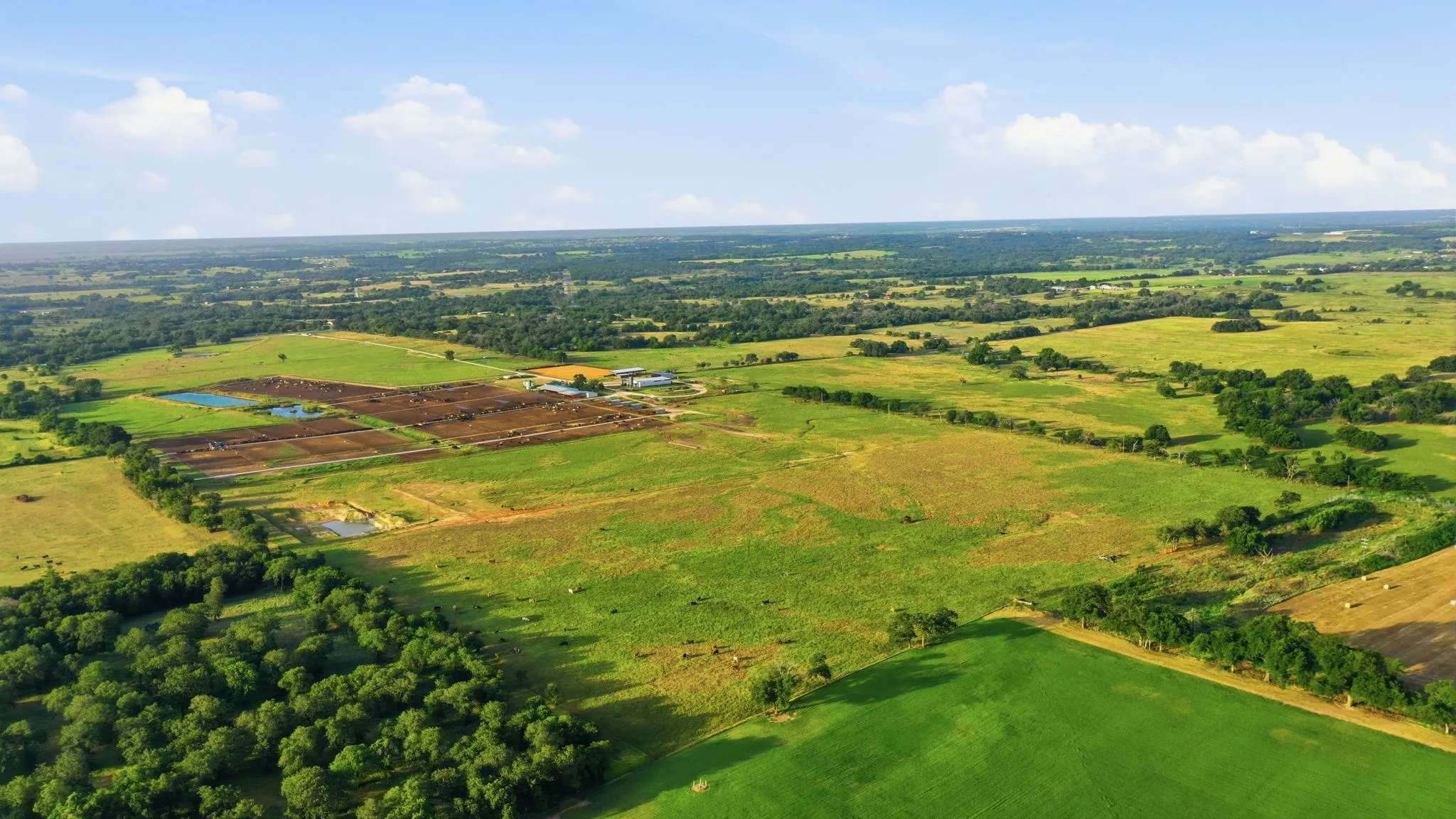 Ranch For Sale in Erath County , 2580 FM 847, Stephenville, Texas 76401, 0, 0, Garage spaces, 0 Sqft, built in 0, mls#21320944, Real Estate Agent in Stephenville, Homes For Sale in Erath county, Homes For Sale in Stephenville, Realtor in Stephenville Texas, Real Estate Brokerage Independent Realty Texas, Luminita Cordes Realtor