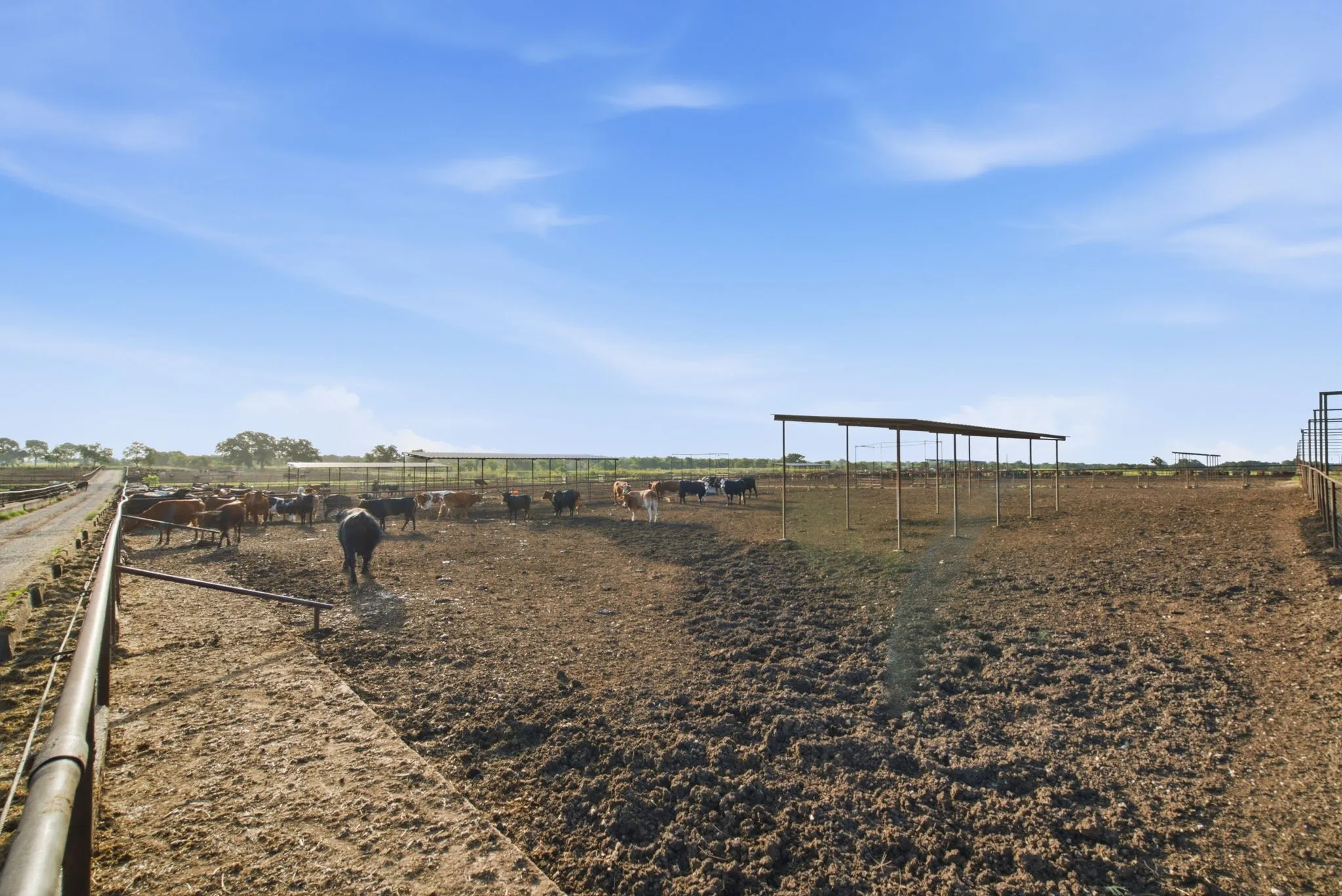 Ranch For Sale in Erath County , 2580 FM 847, Stephenville, Texas 76401, 0, 0, Garage spaces, 0 Sqft, built in 0, mls#21320944, Real Estate Agent in Stephenville, Homes For Sale in Erath county, Homes For Sale in Stephenville, Realtor in Stephenville Texas, Real Estate Brokerage Independent Realty Texas, Luminita Cordes Realtor
