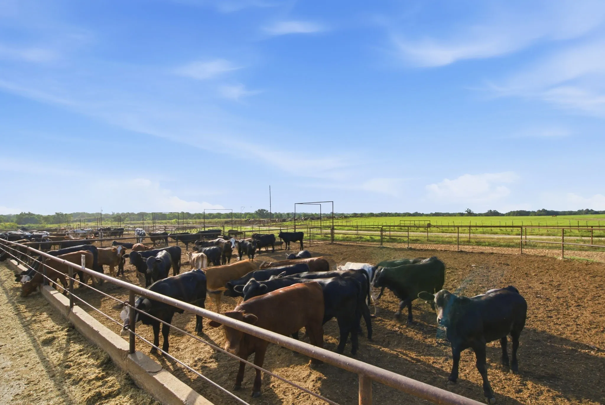 Ranch For Sale in Erath County , 2580 FM 847, Stephenville, Texas 76401, 0, 0, Garage spaces, 0 Sqft, built in 0, mls#21320944, Real Estate Agent in Stephenville, Homes For Sale in Erath county, Homes For Sale in Stephenville, Realtor in Stephenville Texas, Real Estate Brokerage Independent Realty Texas, Luminita Cordes Realtor