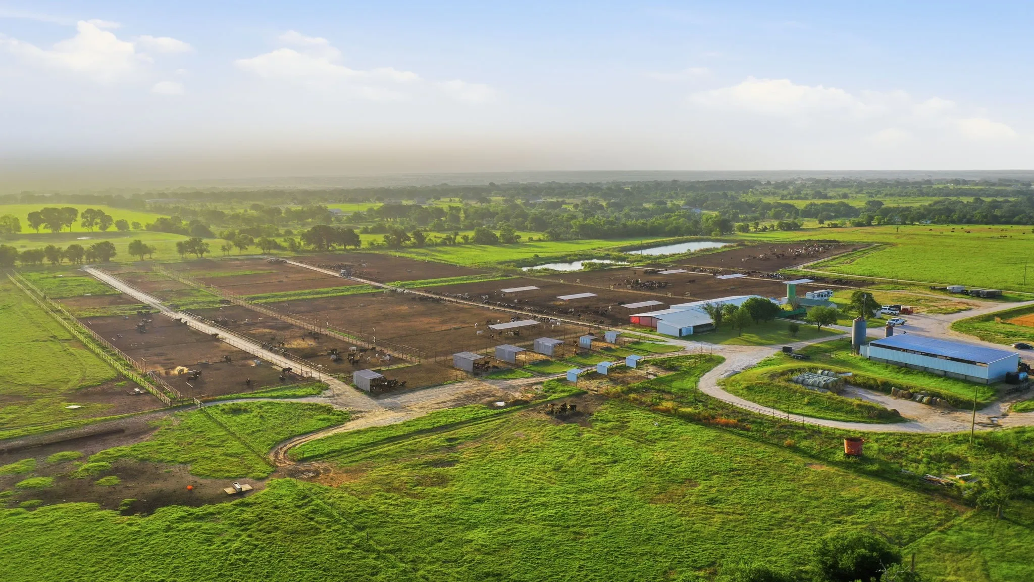 Ranch For Sale in Erath County , 2580 FM 847, Stephenville, Texas 76401, 0, 0, Garage spaces, 0 Sqft, built in 0, mls#21320944, Real Estate Agent in Stephenville, Homes For Sale in Erath county, Homes For Sale in Stephenville, Realtor in Stephenville Texas, Real Estate Brokerage Independent Realty Texas, Luminita Cordes Realtor