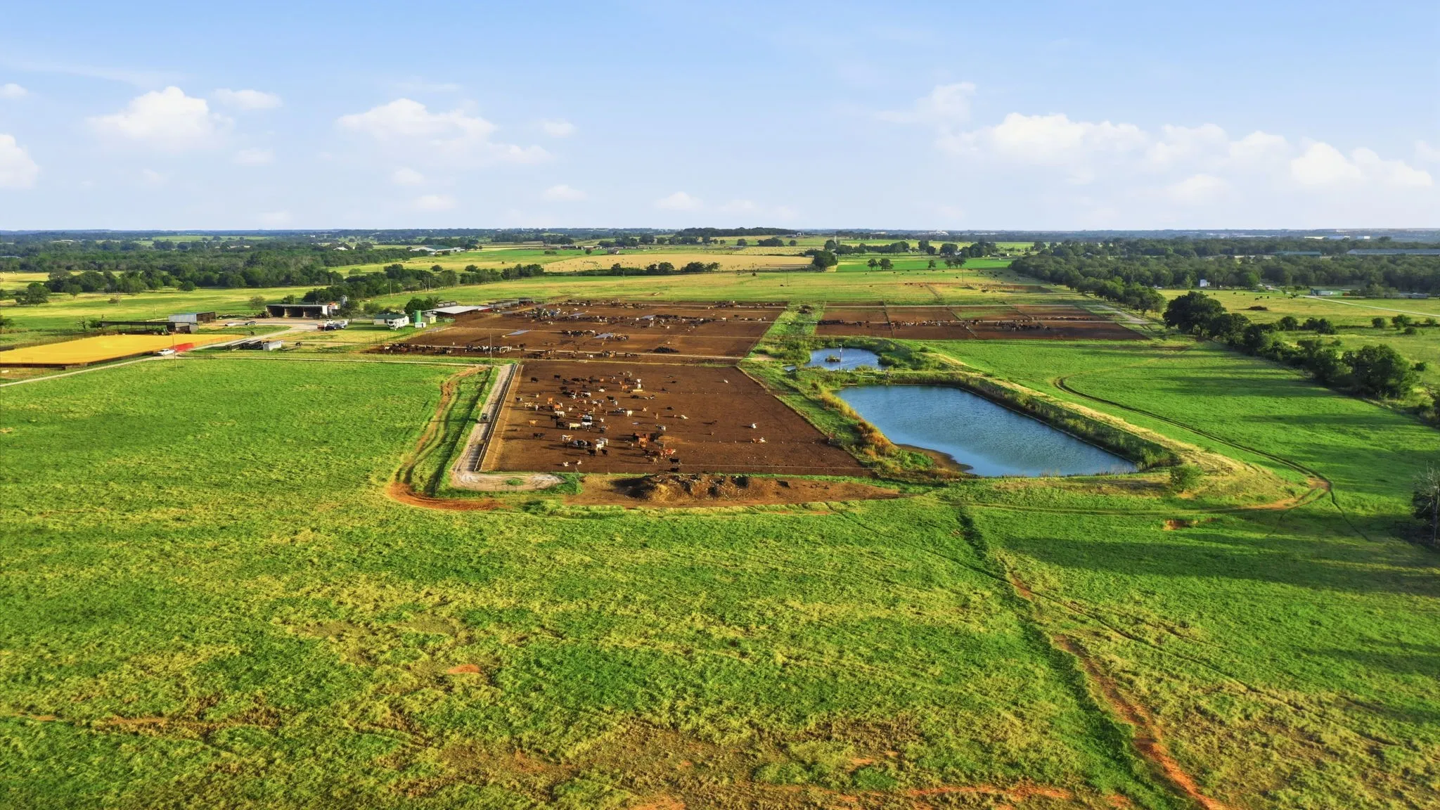 Ranch For Sale in Erath County , 2580 FM 847, Stephenville, Texas 76401, 0, 0, Garage spaces, 0 Sqft, built in 0, mls#21320944, Real Estate Agent in Stephenville, Homes For Sale in Erath county, Homes For Sale in Stephenville, Realtor in Stephenville Texas, Real Estate Brokerage Independent Realty Texas, Luminita Cordes Realtor