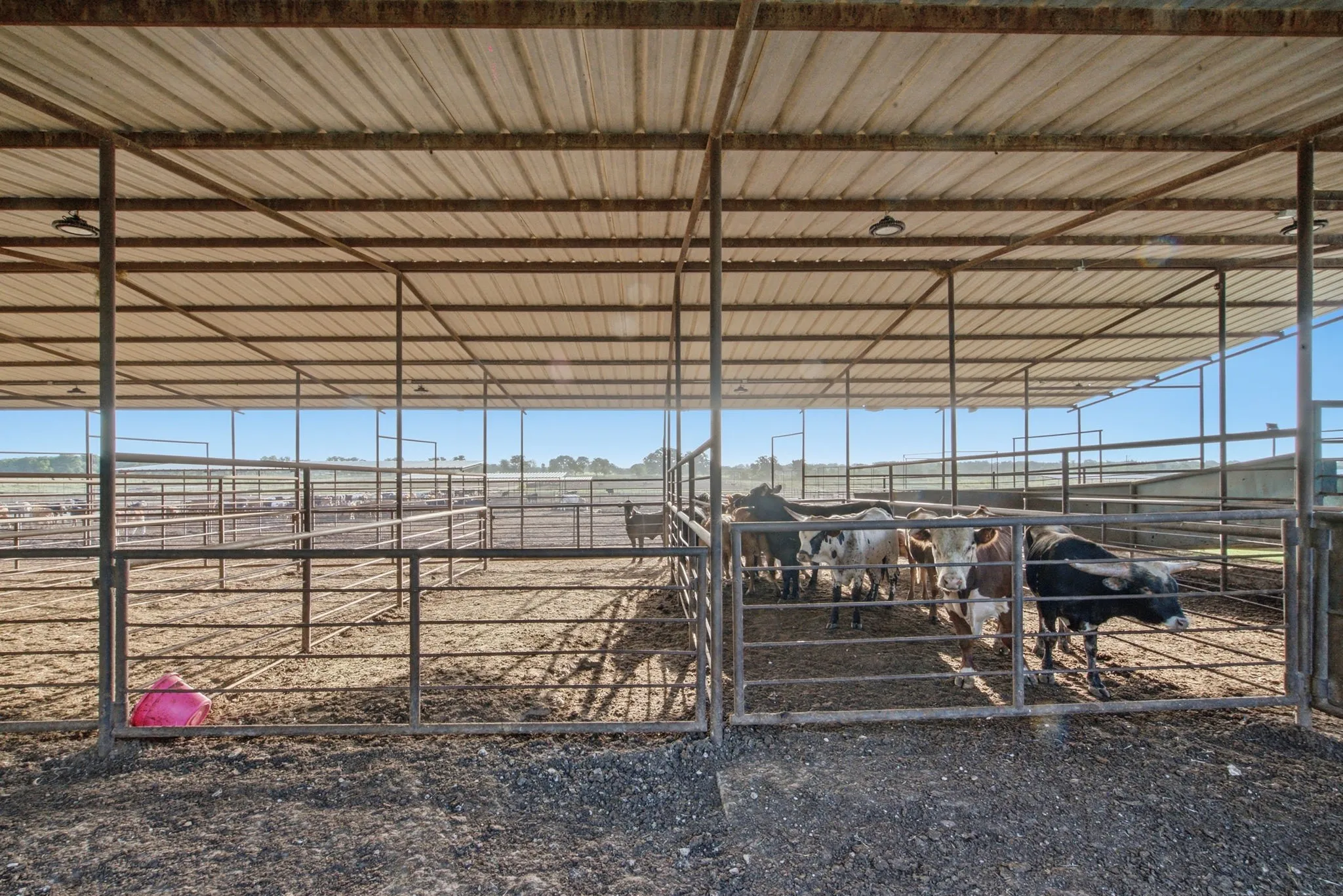 Ranch For Sale in Erath County , 2580 FM 847, Stephenville, Texas 76401, 0, 0, Garage spaces, 0 Sqft, built in 0, mls#21320944, Real Estate Agent in Stephenville, Homes For Sale in Erath county, Homes For Sale in Stephenville, Realtor in Stephenville Texas, Real Estate Brokerage Independent Realty Texas, Luminita Cordes Realtor