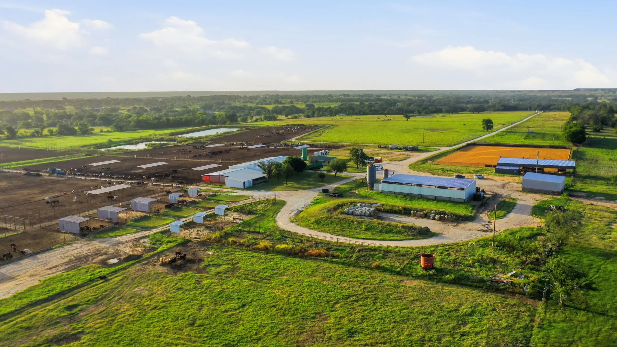 Ranch For Sale in Erath County , 2580 FM 847, Stephenville, Texas 76401, 0, 0, Garage spaces, 0 Sqft, built in 0, mls#21320944, Real Estate Agent in Stephenville, Homes For Sale in Erath county, Homes For Sale in Stephenville, Realtor in Stephenville Texas, Real Estate Brokerage Independent Realty Texas, Luminita Cordes Realtor