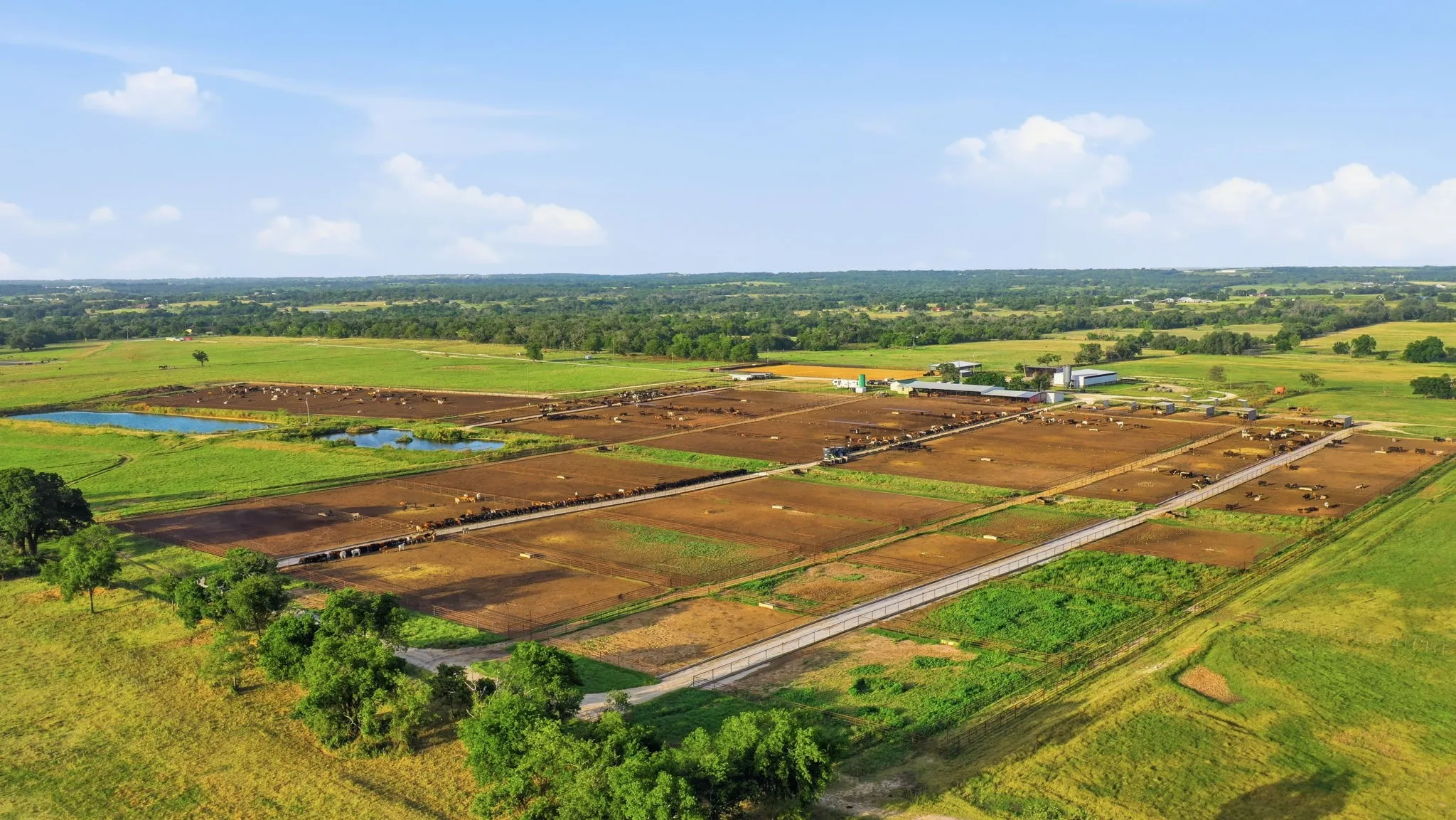 Ranch For Sale in Erath County , 2580 FM 847, Stephenville, Texas 76401, 0, 0, Garage spaces, 0 Sqft, built in 0, mls#21320944, Real Estate Agent in Stephenville, Homes For Sale in Erath county, Homes For Sale in Stephenville, Realtor in Stephenville Texas, Real Estate Brokerage Independent Realty Texas, Luminita Cordes Realtor