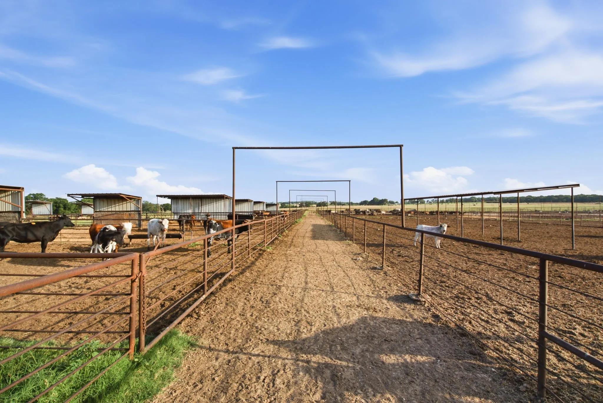 Ranch For Sale in Erath County , 2580 FM 847, Stephenville, Texas 76401, 0, 0, Garage spaces, 0 Sqft, built in 0, mls#21320944, Real Estate Agent in Stephenville, Homes For Sale in Erath county, Homes For Sale in Stephenville, Realtor in Stephenville Texas, Real Estate Brokerage Independent Realty Texas, Luminita Cordes Realtor