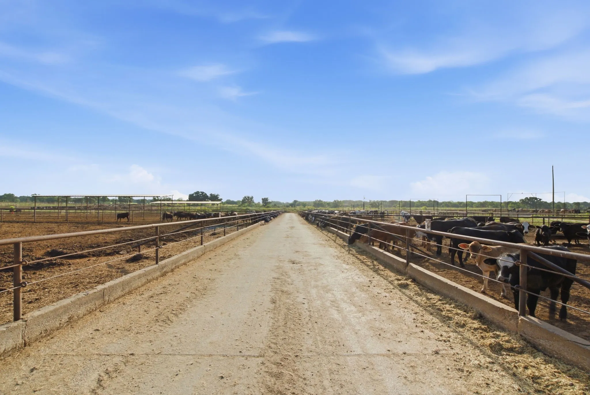 Ranch For Sale in Erath County , 2580 FM 847, Stephenville, Texas 76401, 0, 0, Garage spaces, 0 Sqft, built in 0, mls#21320944, Real Estate Agent in Stephenville, Homes For Sale in Erath county, Homes For Sale in Stephenville, Realtor in Stephenville Texas, Real Estate Brokerage Independent Realty Texas, Luminita Cordes Realtor