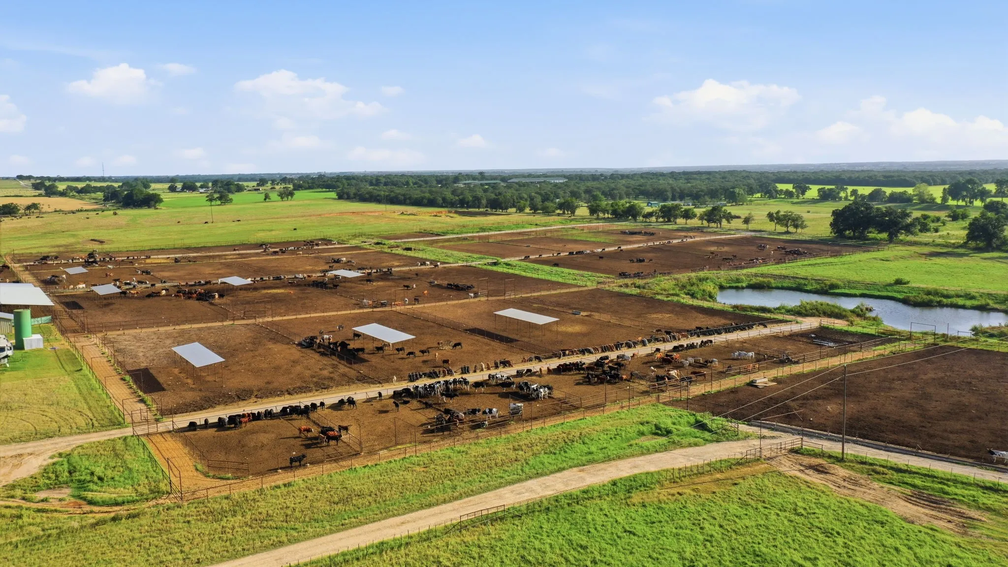 Ranch For Sale in Erath County , 2580 FM 847, Stephenville, Texas 76401, 0, 0, Garage spaces, 0 Sqft, built in 0, mls#21320944, Real Estate Agent in Stephenville, Homes For Sale in Erath county, Homes For Sale in Stephenville, Realtor in Stephenville Texas, Real Estate Brokerage Independent Realty Texas, Luminita Cordes Realtor