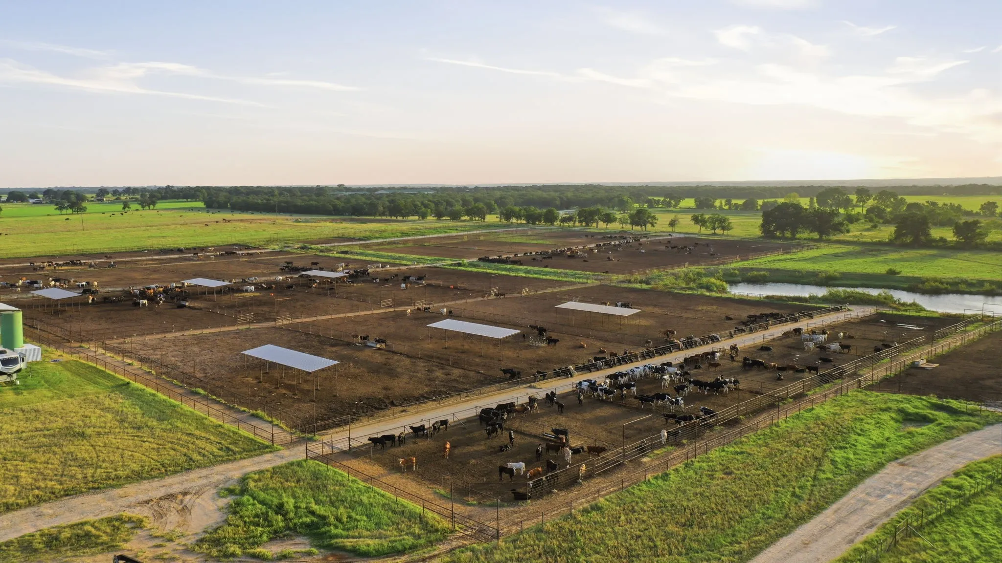 Ranch For Sale in Erath County , 2580 FM 847, Stephenville, Texas 76401, 0, 0, Garage spaces, 0 Sqft, built in 0, mls#21320944, Real Estate Agent in Stephenville, Homes For Sale in Erath county, Homes For Sale in Stephenville, Realtor in Stephenville Texas, Real Estate Brokerage Independent Realty Texas, Luminita Cordes Realtor
