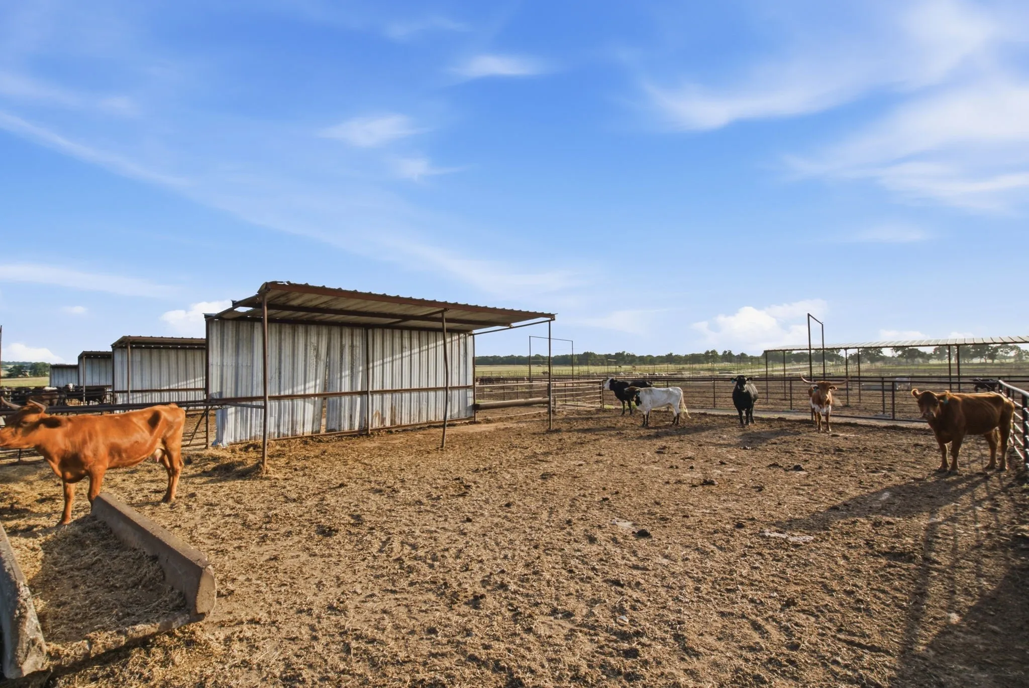 Ranch For Sale in Erath County , 2580 FM 847, Stephenville, Texas 76401, 0, 0, Garage spaces, 0 Sqft, built in 0, mls#21320944, Real Estate Agent in Stephenville, Homes For Sale in Erath county, Homes For Sale in Stephenville, Realtor in Stephenville Texas, Real Estate Brokerage Independent Realty Texas, Luminita Cordes Realtor