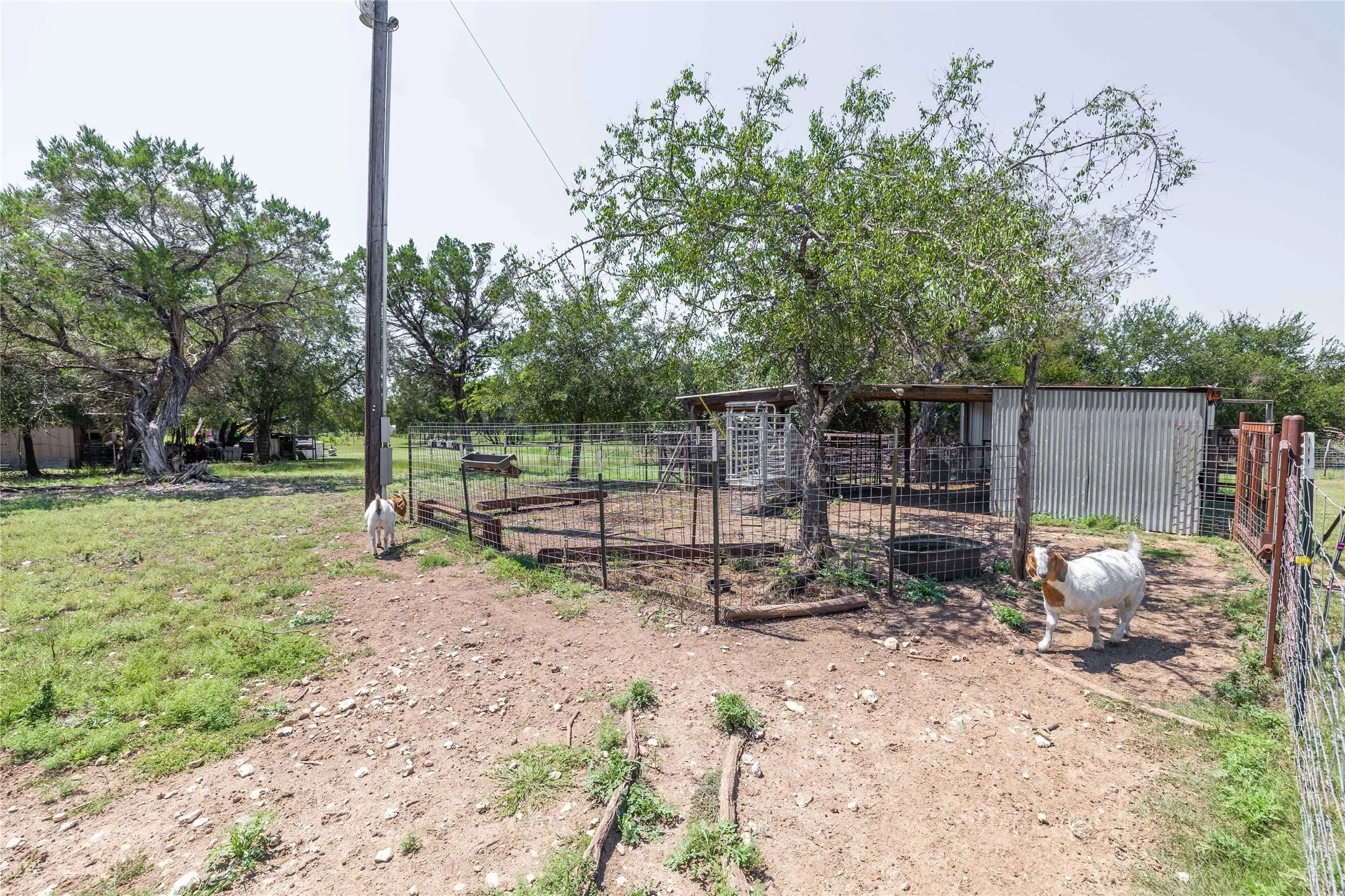 Single Family Residence For Sale in Coryell County , 122 Homestead Drive, Gatesville, Texas 76528, 2 Bedroom, 1 Bathroom, Garage spaces, 1,357 Sqft, built in 2007, mls#21321172, Real Estate Agent in Gatesville, Homes For Sale in Coryell county, Homes For Sale in Gatesville, Realtor in Gatesville Texas, Real Estate Brokerage Independent Realty Texas, Luminita Cordes Realtor