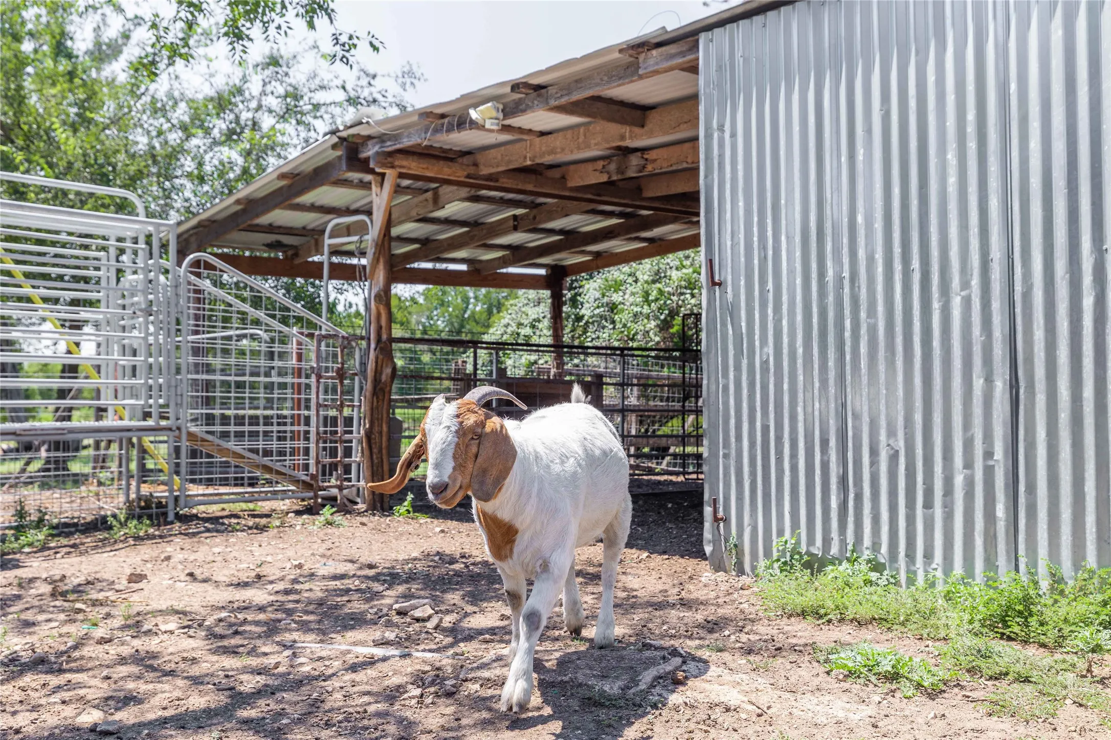Single Family Residence For Sale in Coryell County , 122 Homestead Drive, Gatesville, Texas 76528, 2 Bedroom, 1 Bathroom, Garage spaces, 1,357 Sqft, built in 2007, mls#21321172, Real Estate Agent in Gatesville, Homes For Sale in Coryell county, Homes For Sale in Gatesville, Realtor in Gatesville Texas, Real Estate Brokerage Independent Realty Texas, Luminita Cordes Realtor