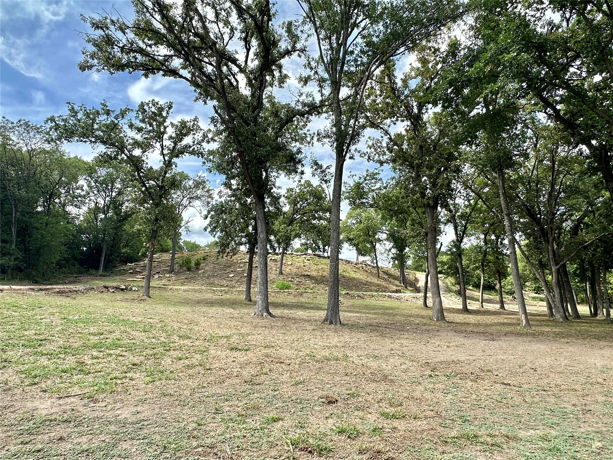 Improved Land For Sale in Cooke County , 2.3 Acres N Harrell Road, Gainesville, Texas 76240, 0, 0, Garage spaces, 0 Sqft, built in 0, mls#21321207, Real Estate Agent in Gainesville, Homes For Sale in Cooke county, Homes For Sale in Gainesville, Realtor in Gainesville Texas, Real Estate Brokerage Independent Realty Texas, Luminita Cordes Realtor
