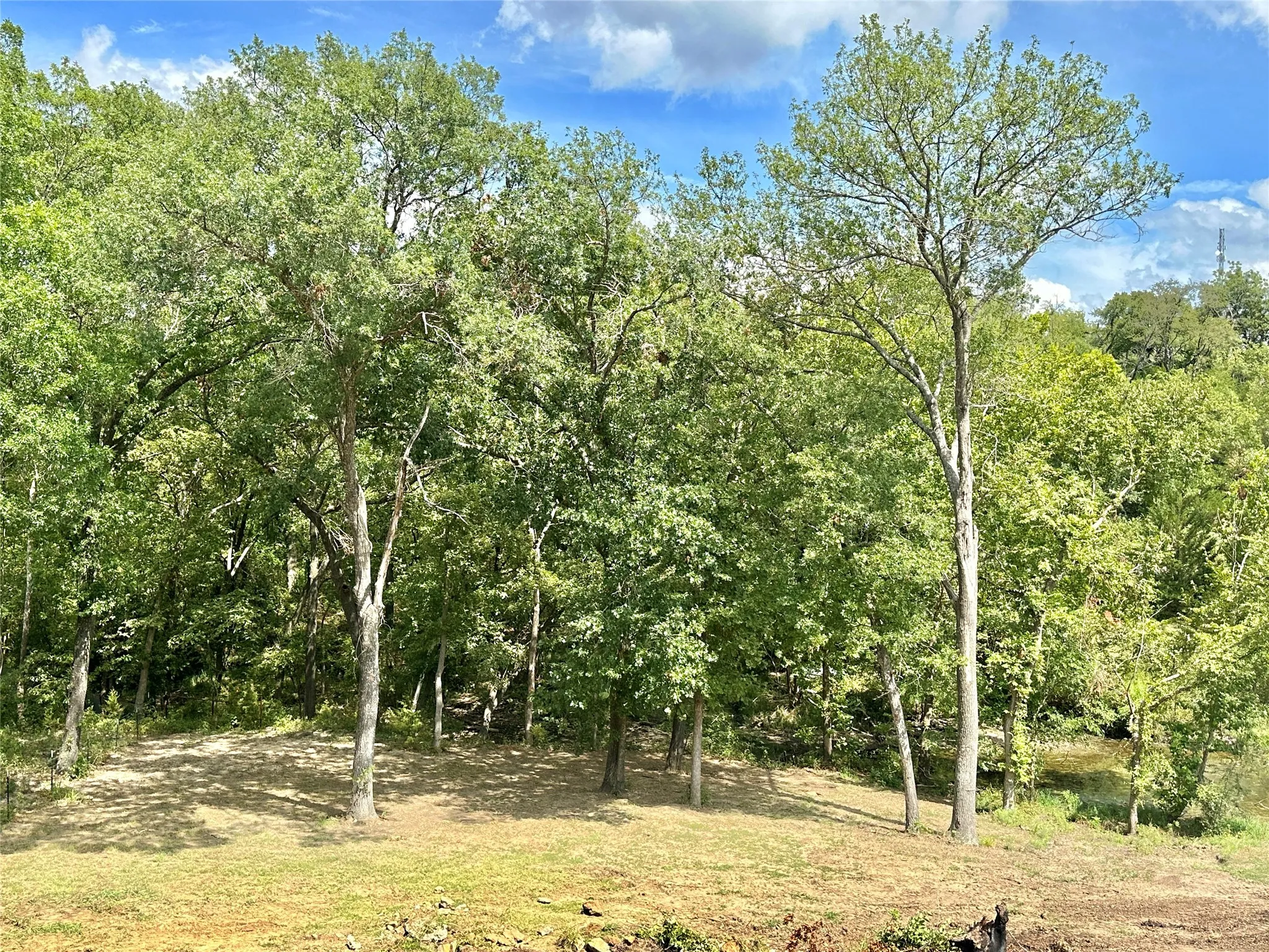Improved Land For Sale in Cooke County , 2.3 Acres N Harrell Road, Gainesville, Texas 76240, 0, 0, Garage spaces, 0 Sqft, built in 0, mls#21321207, Real Estate Agent in Gainesville, Homes For Sale in Cooke county, Homes For Sale in Gainesville, Realtor in Gainesville Texas, Real Estate Brokerage Independent Realty Texas, Luminita Cordes Realtor