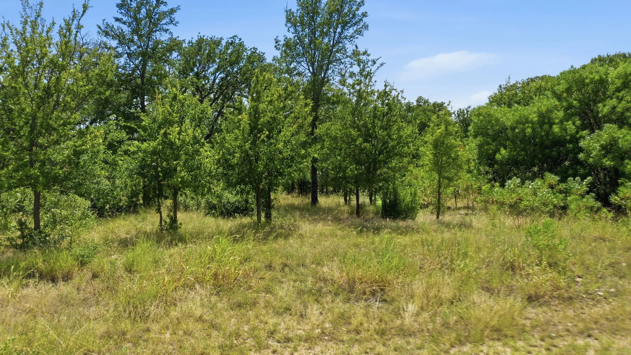 Unimproved Land For Sale in Palo Pinto County , Lot 910 Cinnamon Teal, Possum Kingdom Lake, Texas 76449, 0, 0, Garage spaces, 0 Sqft, built in 0, mls#21321220, Real Estate Agent in Possum Kingdom Lake, Homes For Sale in Palo Pinto county, Homes For Sale in Possum Kingdom Lake, Realtor in Possum Kingdom Lake Texas, Real Estate Brokerage Independent Realty Texas, Luminita Cordes Realtor