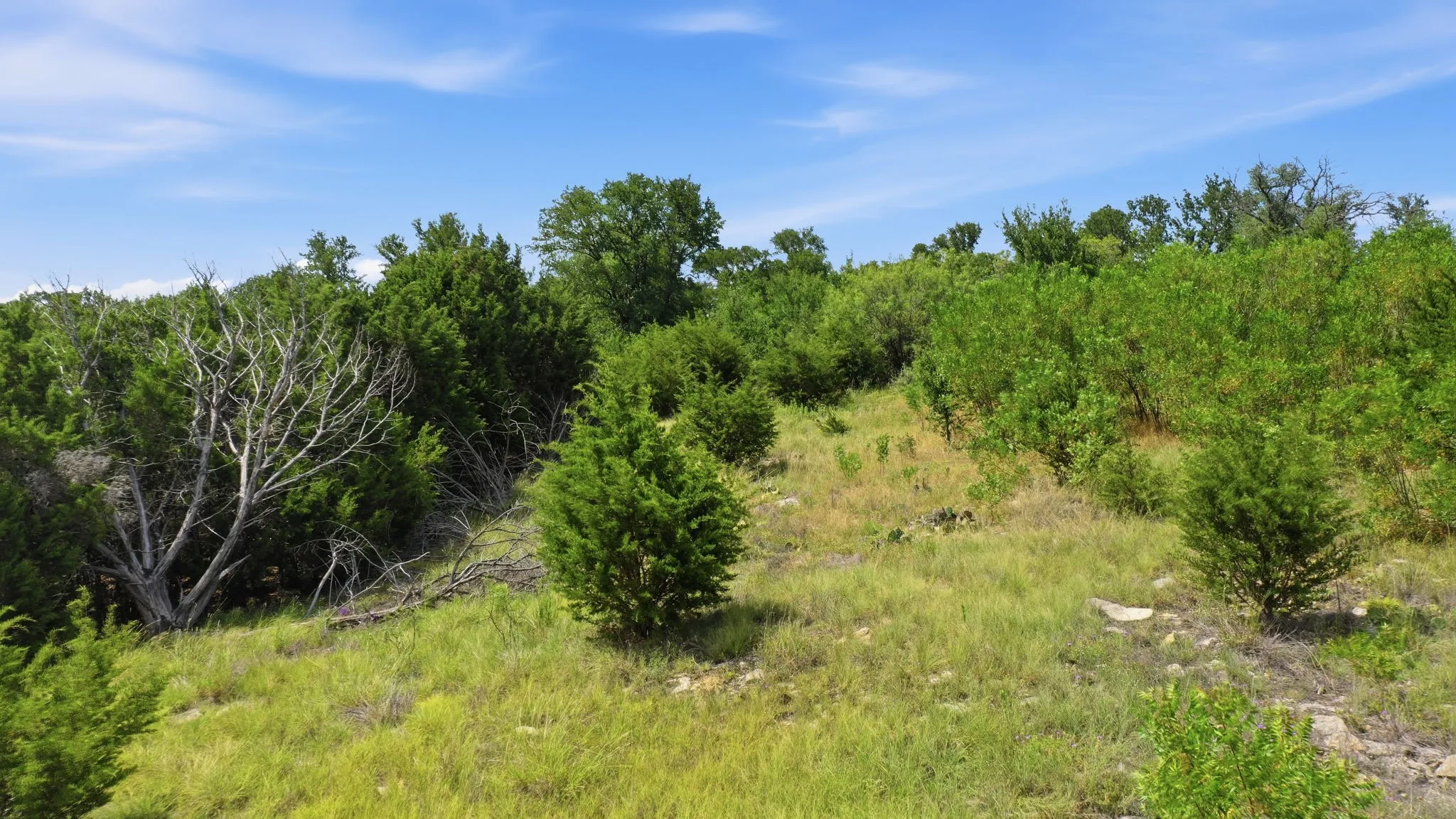 Unimproved Land For Sale in Palo Pinto County , Lot 909 Cinnamon Teal, Possum Kingdom Lake, Texas 76449, 0, 0, Garage spaces, 0 Sqft, built in 0, Price $72,000, mls#21321267, Real Estate Agent in Possum Kingdom Lake, Homes For Sale in Palo Pinto county, Homes For Sale in Possum Kingdom Lake, Realtor in Possum Kingdom Lake Texas, Real Estate Brokerage Independent Realty Texas, Luminita Cordes Realtor