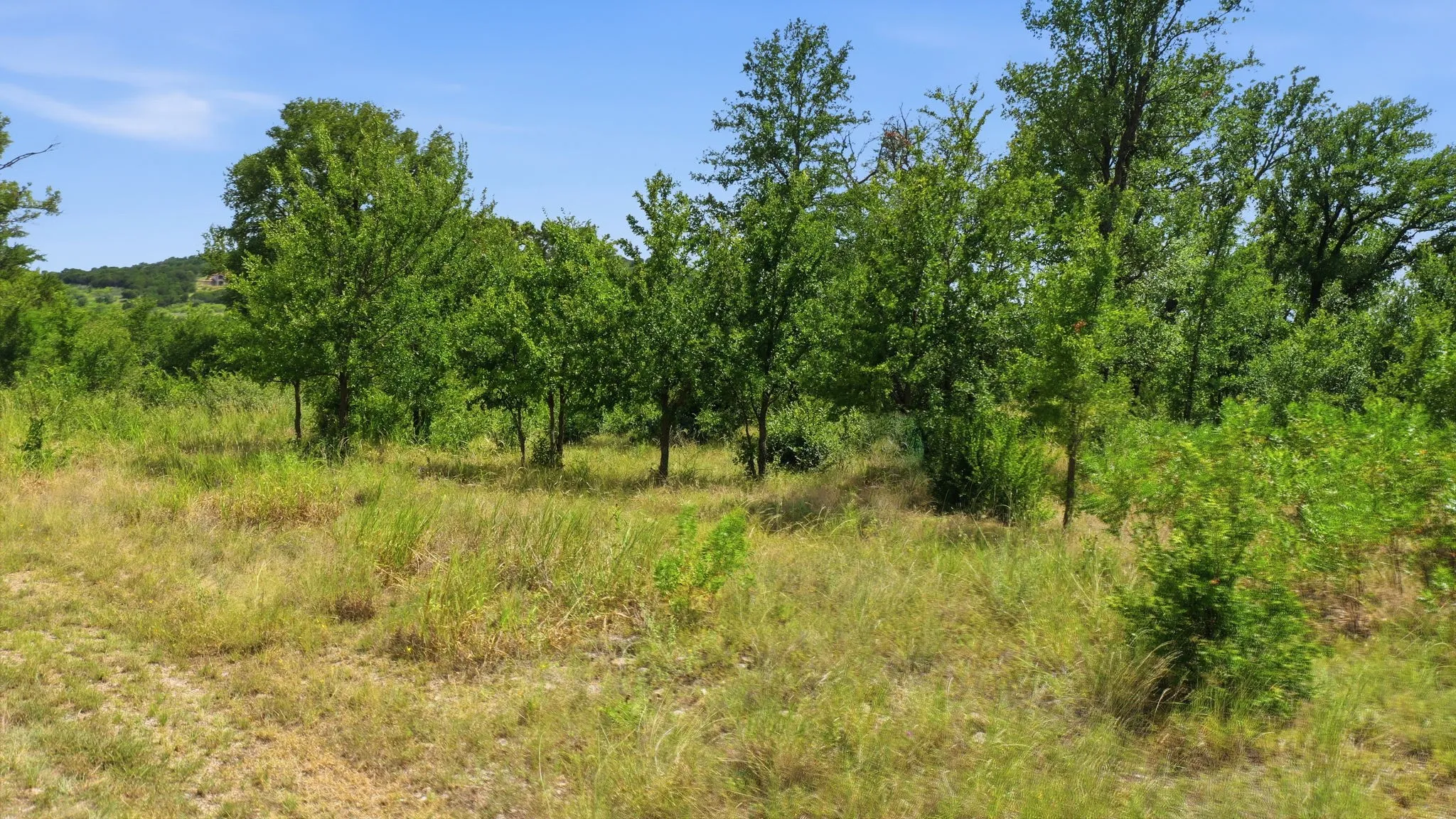 Unimproved Land For Sale in Palo Pinto County , Lot 909 Cinnamon Teal, Possum Kingdom Lake, Texas 76449, 0, 0, Garage spaces, 0 Sqft, built in 0, Price $72,000, mls#21321267, Real Estate Agent in Possum Kingdom Lake, Homes For Sale in Palo Pinto county, Homes For Sale in Possum Kingdom Lake, Realtor in Possum Kingdom Lake Texas, Real Estate Brokerage Independent Realty Texas, Luminita Cordes Realtor