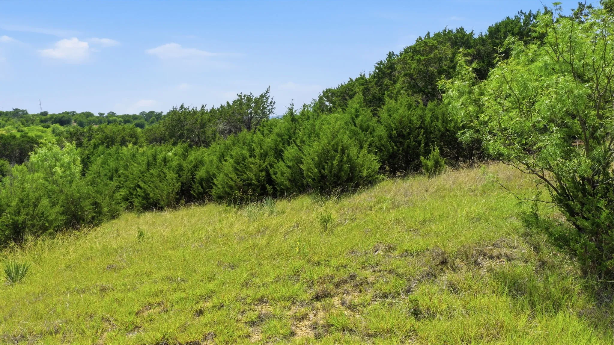 Unimproved Land For Sale in Palo Pinto County , Lot 909 Cinnamon Teal, Possum Kingdom Lake, Texas 76449, 0, 0, Garage spaces, 0 Sqft, built in 0, Price $72,000, mls#21321267, Real Estate Agent in Possum Kingdom Lake, Homes For Sale in Palo Pinto county, Homes For Sale in Possum Kingdom Lake, Realtor in Possum Kingdom Lake Texas, Real Estate Brokerage Independent Realty Texas, Luminita Cordes Realtor