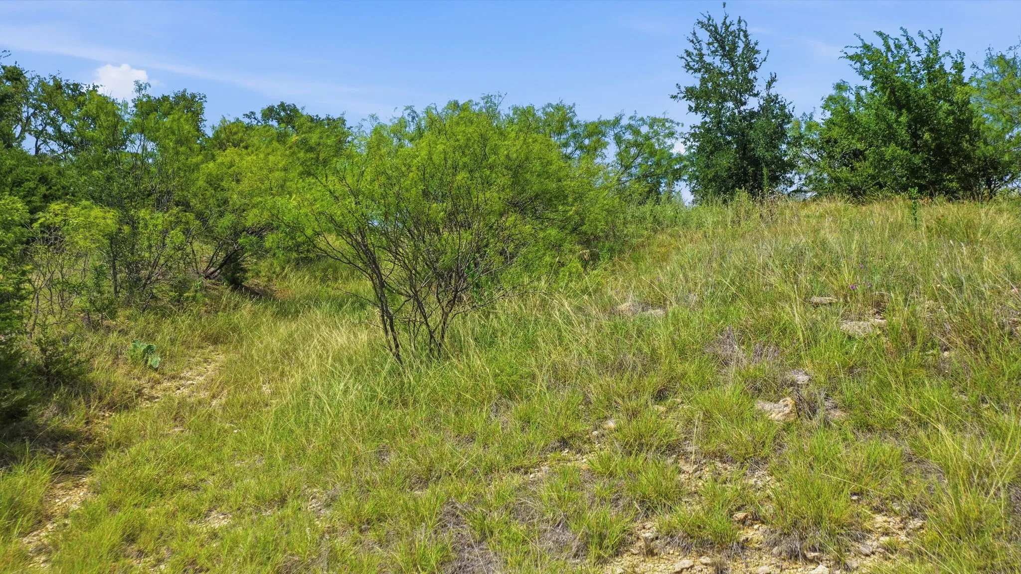 Unimproved Land For Sale in Palo Pinto County , Lot 909 Cinnamon Teal, Possum Kingdom Lake, Texas 76449, 0, 0, Garage spaces, 0 Sqft, built in 0, Price $72,000, mls#21321267, Real Estate Agent in Possum Kingdom Lake, Homes For Sale in Palo Pinto county, Homes For Sale in Possum Kingdom Lake, Realtor in Possum Kingdom Lake Texas, Real Estate Brokerage Independent Realty Texas, Luminita Cordes Realtor