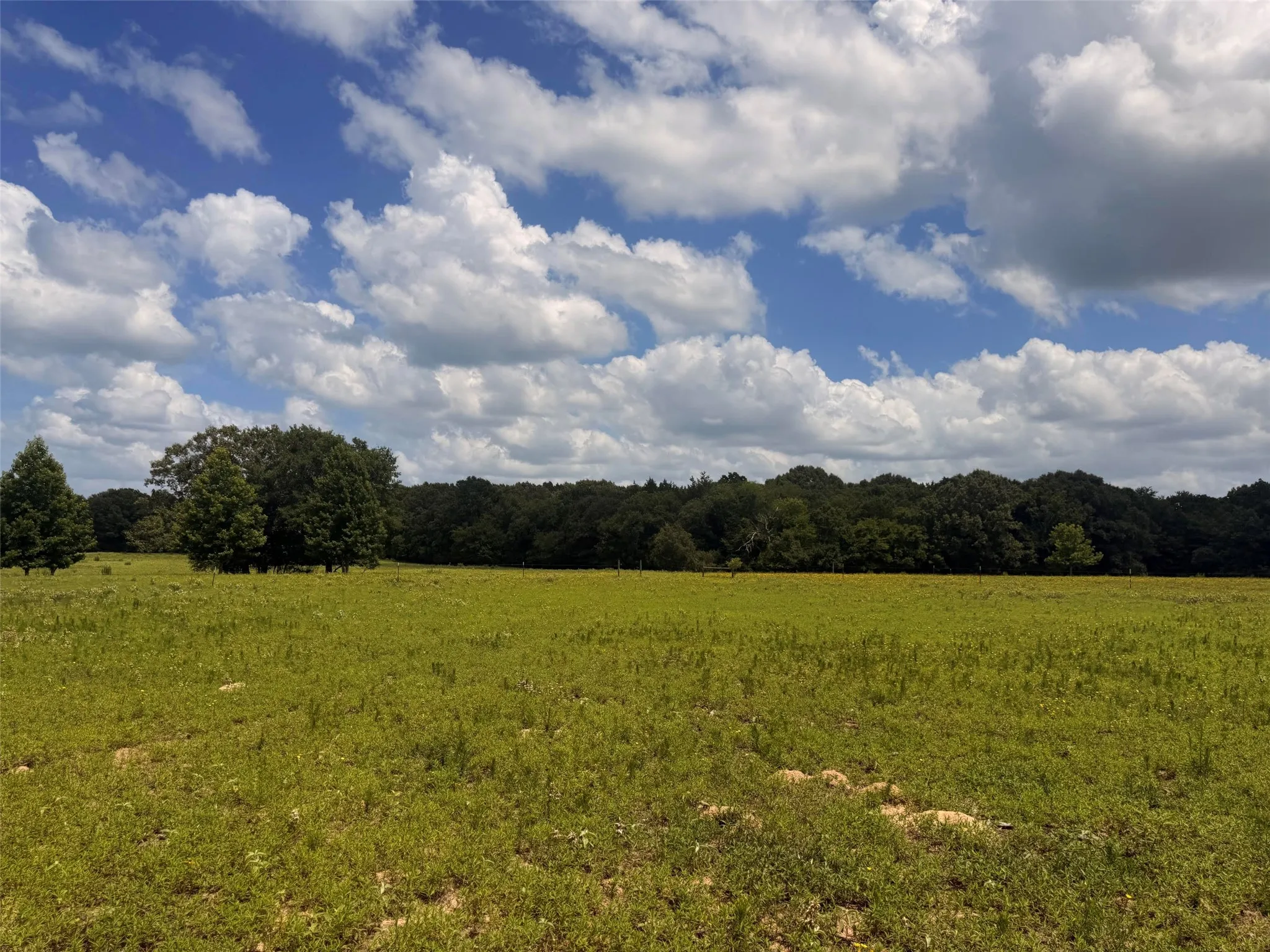 Farm For Sale in Henderson County , 5767 Fm 2339, Murchison, Texas 75778, 3 Bedrooms, 1 Bathroom, 2 Garage spaces, 1,800 Sqft, built in 0, Price $1,600,000, mls#21321219, Real Estate Agent in Murchison, Homes For Sale in Henderson county, Homes For Sale in Murchison, Realtor in Murchison Texas, Real Estate Brokerage Independent Realty Texas, Luminita Cordes Realtor