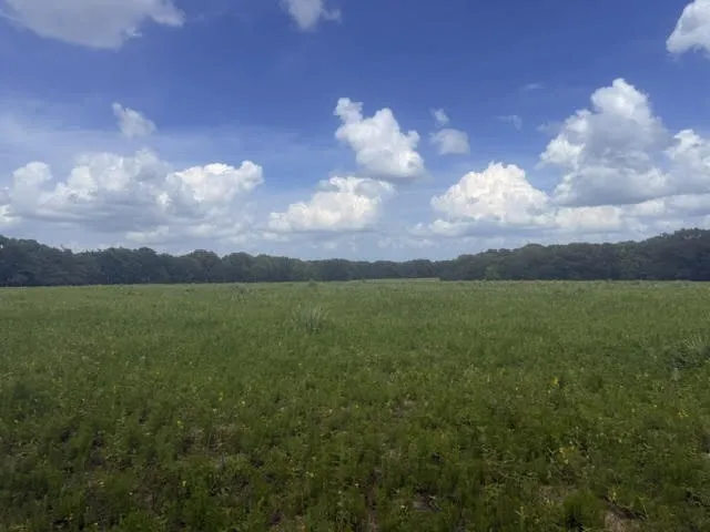 Farm For Sale in Henderson County , 5767 Fm 2339, Murchison, Texas 75778, 3 Bedrooms, 1 Bathroom, 2 Garage spaces, 1,800 Sqft, built in 0, Price $1,600,000, mls#21321219, Real Estate Agent in Murchison, Homes For Sale in Henderson county, Homes For Sale in Murchison, Realtor in Murchison Texas, Real Estate Brokerage Independent Realty Texas, Luminita Cordes Realtor
