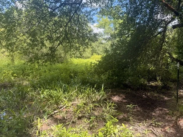 Farm For Sale in Henderson County , 5767 Fm 2339, Murchison, Texas 75778, 3 Bedrooms, 1 Bathroom, 2 Garage spaces, 1,800 Sqft, built in 0, Price $1,600,000, mls#21321219, Real Estate Agent in Murchison, Homes For Sale in Henderson county, Homes For Sale in Murchison, Realtor in Murchison Texas, Real Estate Brokerage Independent Realty Texas, Luminita Cordes Realtor