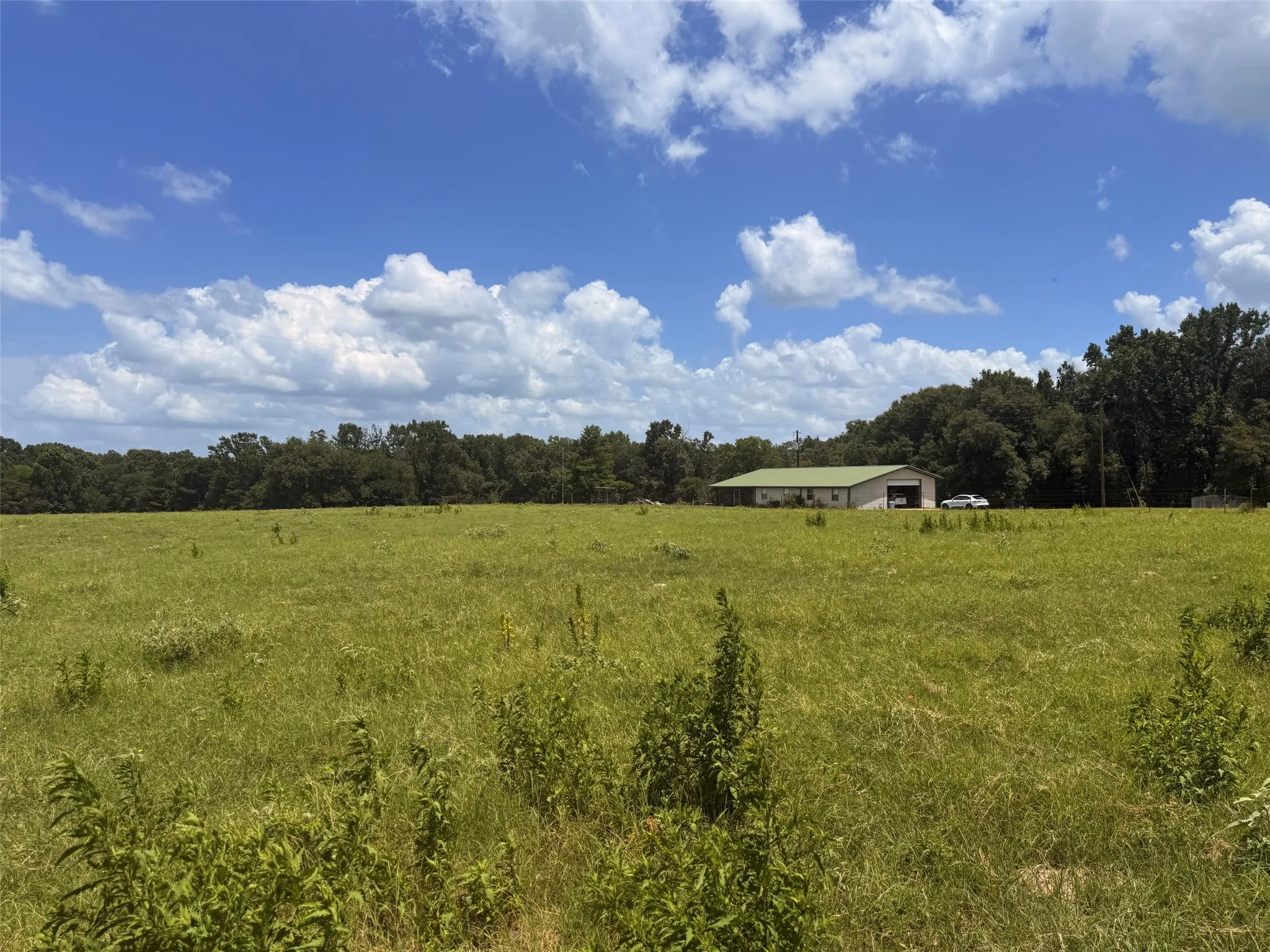 Farm For Sale in Henderson County , 5767 Fm 2339, Murchison, Texas 75778, 3 Bedrooms, 1 Bathroom, 2 Garage spaces, 1,800 Sqft, built in 0, Price $1,600,000, mls#21321219, Real Estate Agent in Murchison, Homes For Sale in Henderson county, Homes For Sale in Murchison, Realtor in Murchison Texas, Real Estate Brokerage Independent Realty Texas, Luminita Cordes Realtor