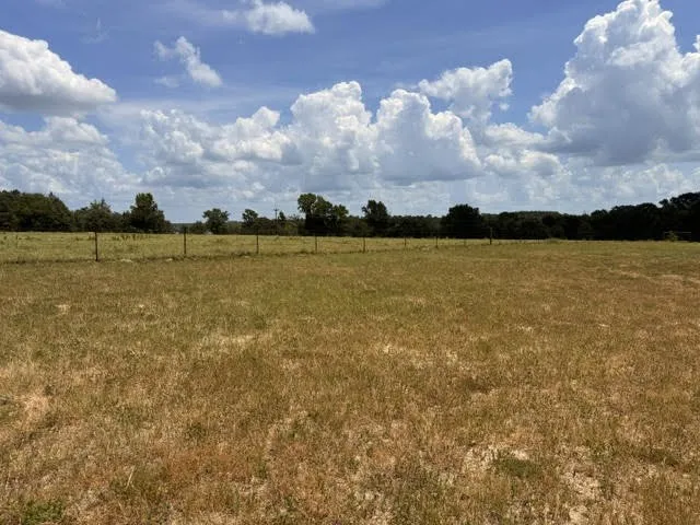 Farm For Sale in Henderson County , 5767 Fm 2339, Murchison, Texas 75778, 3 Bedrooms, 1 Bathroom, 2 Garage spaces, 1,800 Sqft, built in 0, Price $1,600,000, mls#21321219, Real Estate Agent in Murchison, Homes For Sale in Henderson county, Homes For Sale in Murchison, Realtor in Murchison Texas, Real Estate Brokerage Independent Realty Texas, Luminita Cordes Realtor