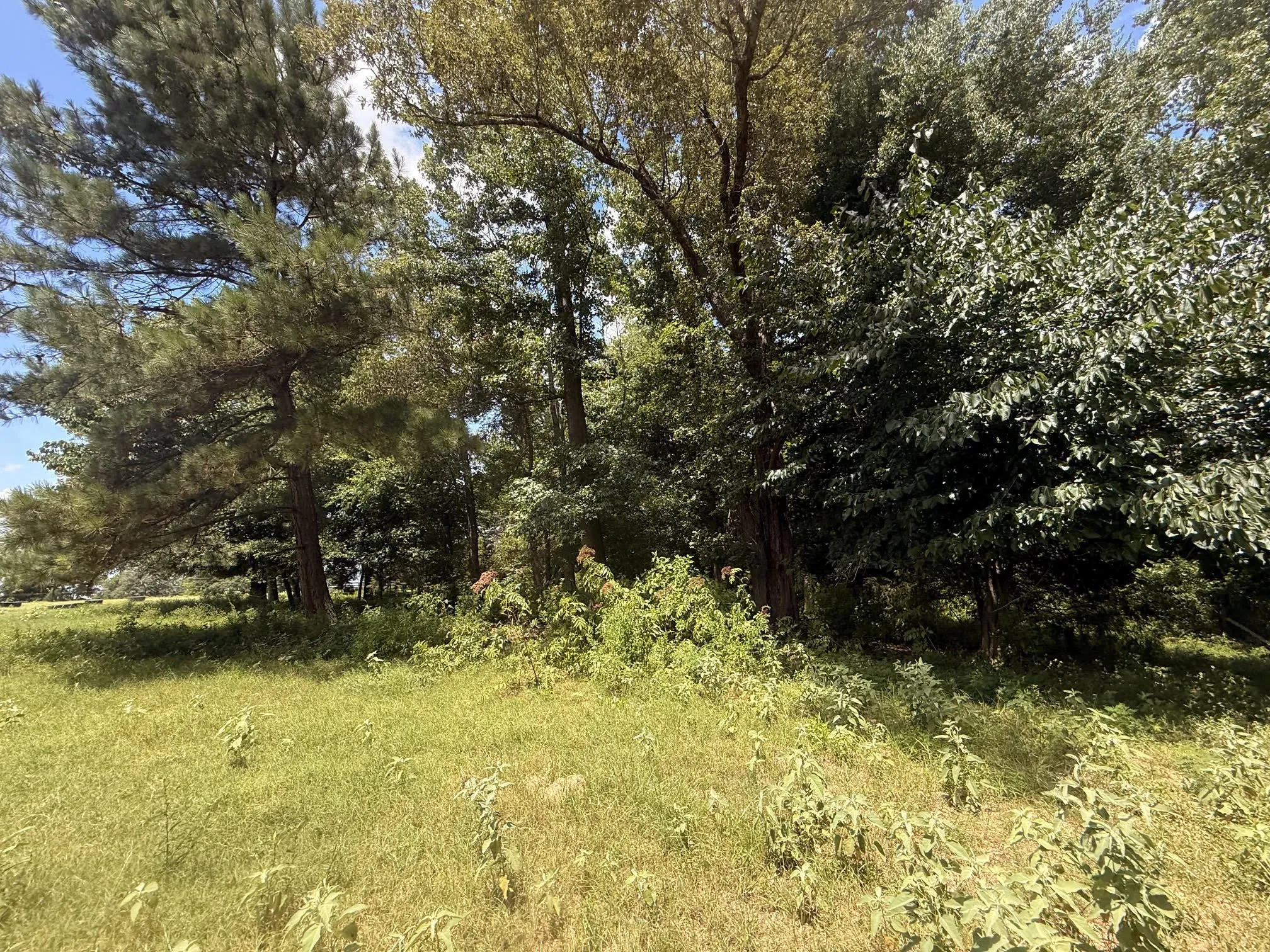 Farm For Sale in Henderson County , 5767 Fm 2339, Murchison, Texas 75778, 3 Bedrooms, 1 Bathroom, 2 Garage spaces, 1,800 Sqft, built in 0, Price $1,600,000, mls#21321219, Real Estate Agent in Murchison, Homes For Sale in Henderson county, Homes For Sale in Murchison, Realtor in Murchison Texas, Real Estate Brokerage Independent Realty Texas, Luminita Cordes Realtor