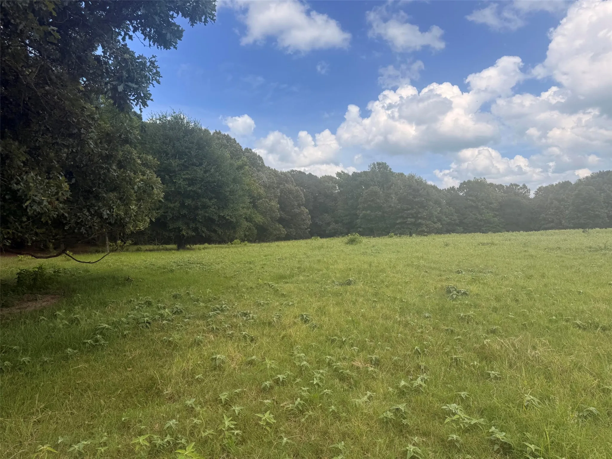 Farm For Sale in Henderson County , 5767 Fm 2339, Murchison, Texas 75778, 3 Bedrooms, 1 Bathroom, 2 Garage spaces, 1,800 Sqft, built in 0, Price $1,600,000, mls#21321219, Real Estate Agent in Murchison, Homes For Sale in Henderson county, Homes For Sale in Murchison, Realtor in Murchison Texas, Real Estate Brokerage Independent Realty Texas, Luminita Cordes Realtor
